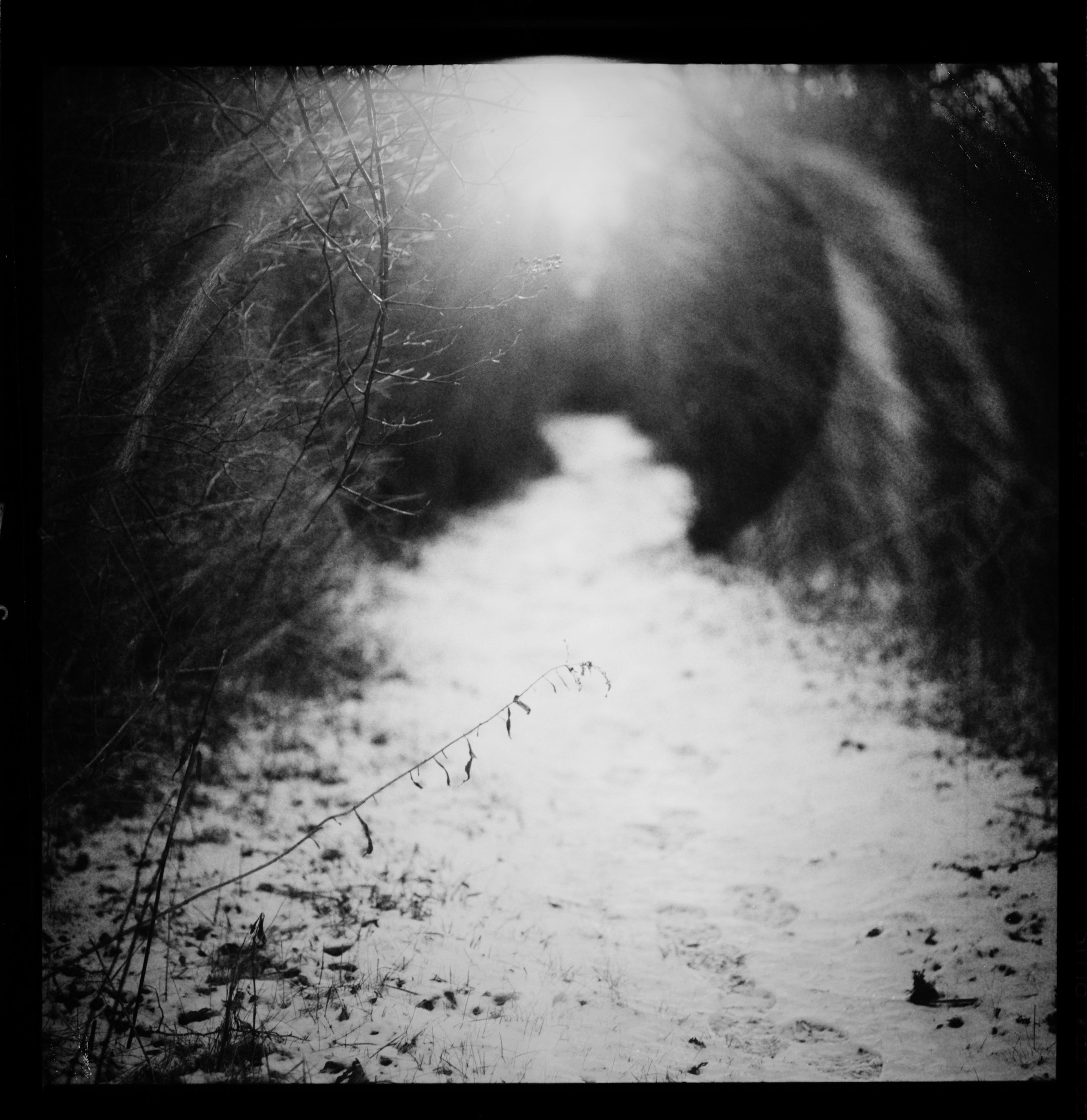 Deb Dawson,&nbsp;Solstice, 2025, Inkjet print (film based), 20 x 20 inches, $1,200.