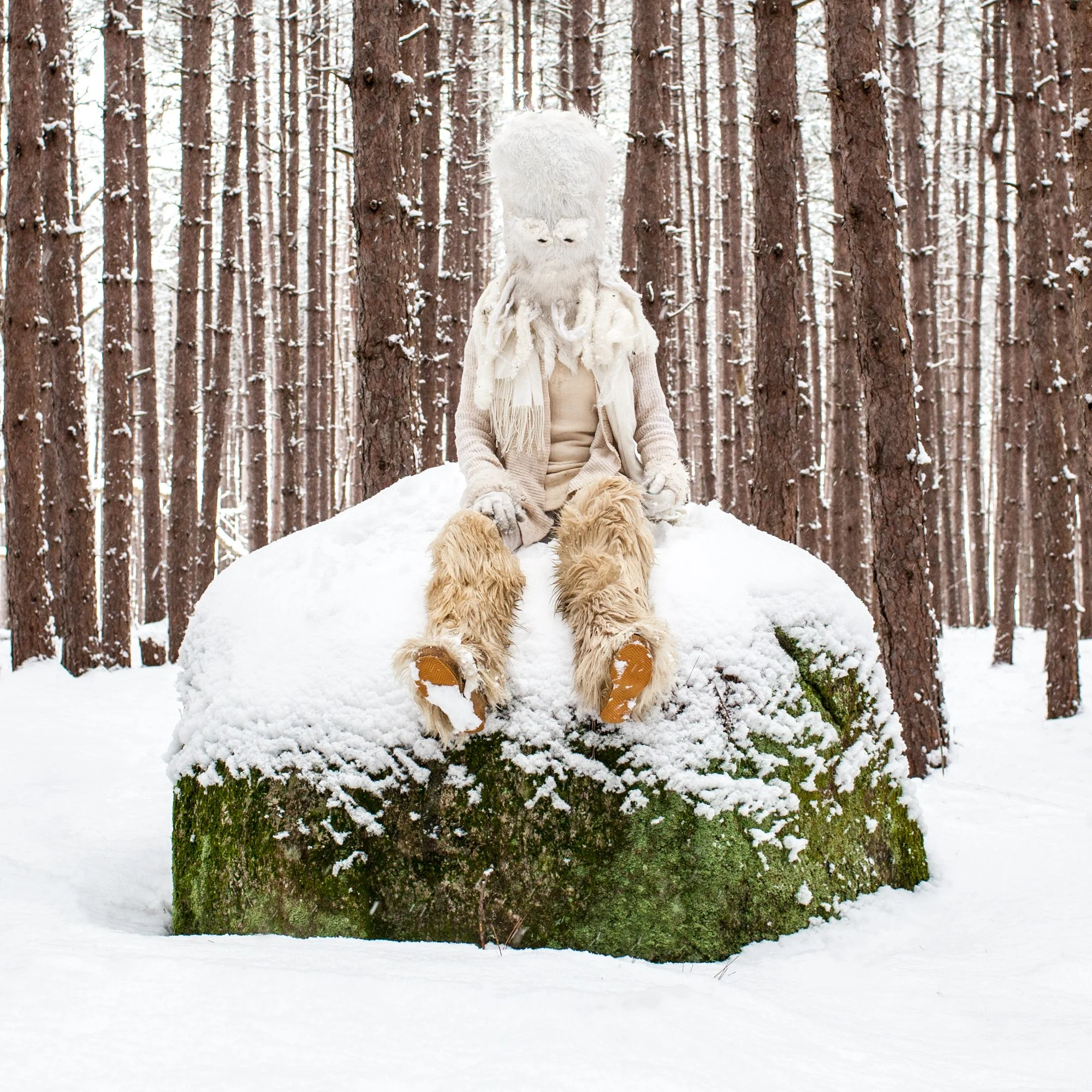 Jones_Cupcake_1.2025 copy.jpg