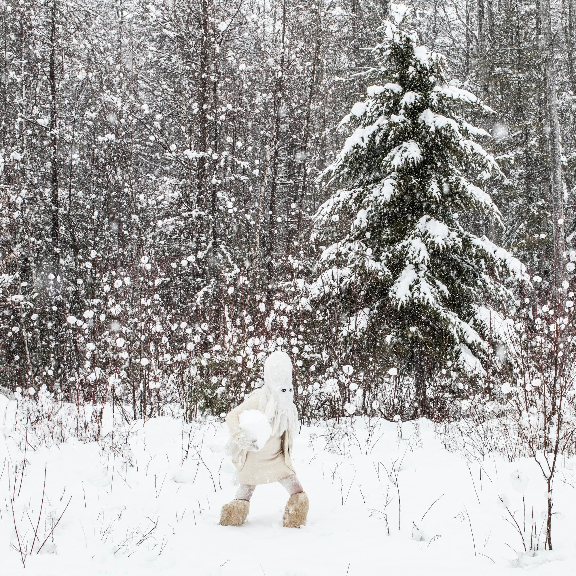 Jones_Snowballing_2_2025 copy.jpg