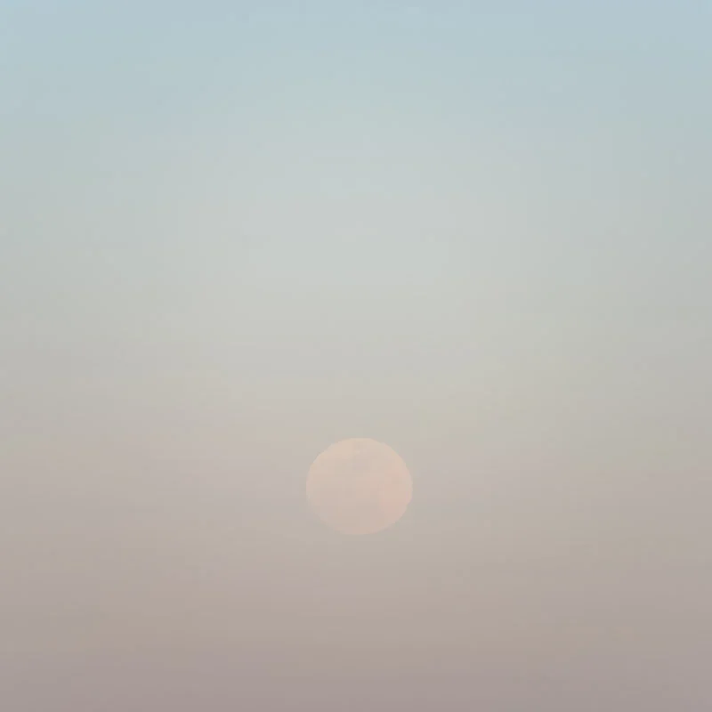 Moon-of-Wakening-II-Jim-Nickelson.jpg.webp
