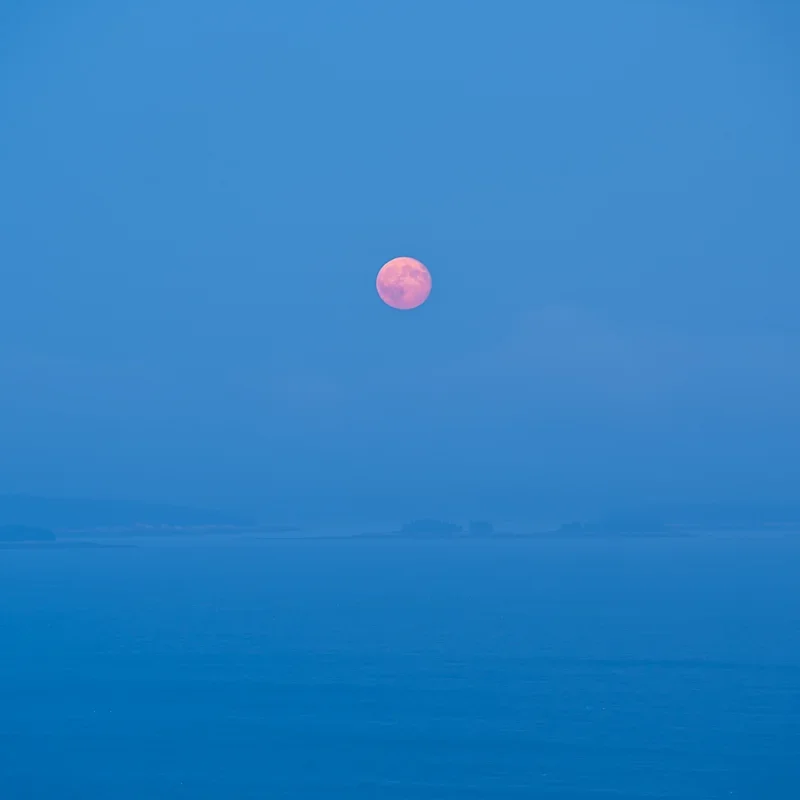 Harvest-Moon-Jim-Nickelson.jpg.webp