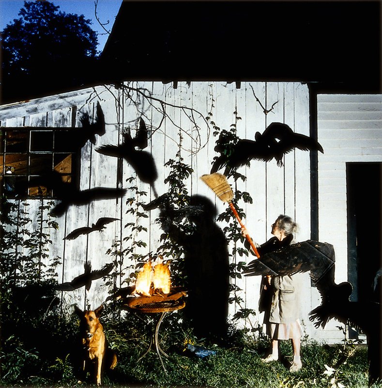 13 Grandma Mitzi and the Crows_6.jpg