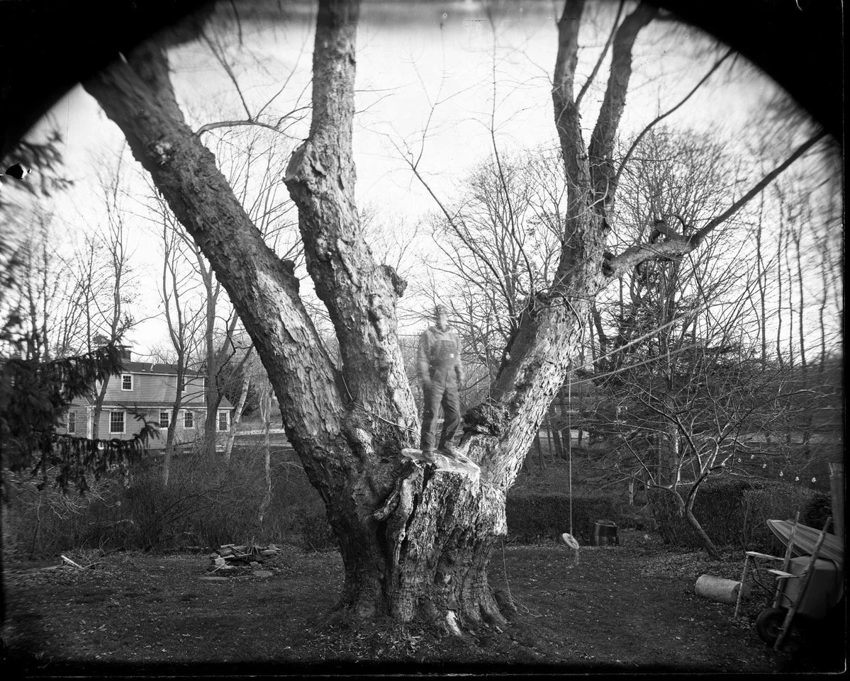Self Portrait in tree_E_Cole.jpeg