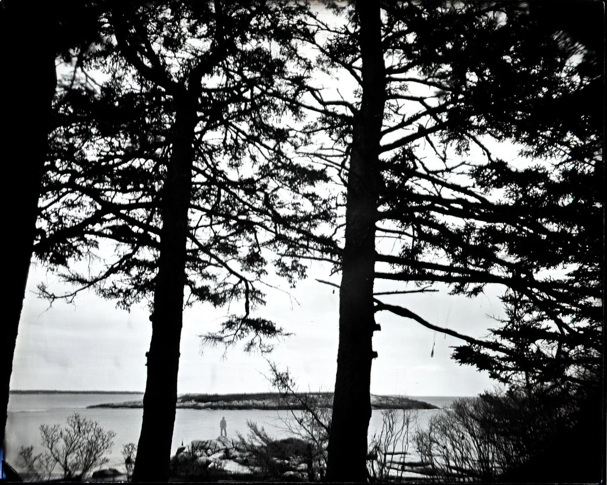 Self Portrait Outer Head_E_Cole.jpeg