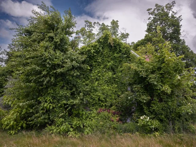 Justin K. 2-Edit.jpg