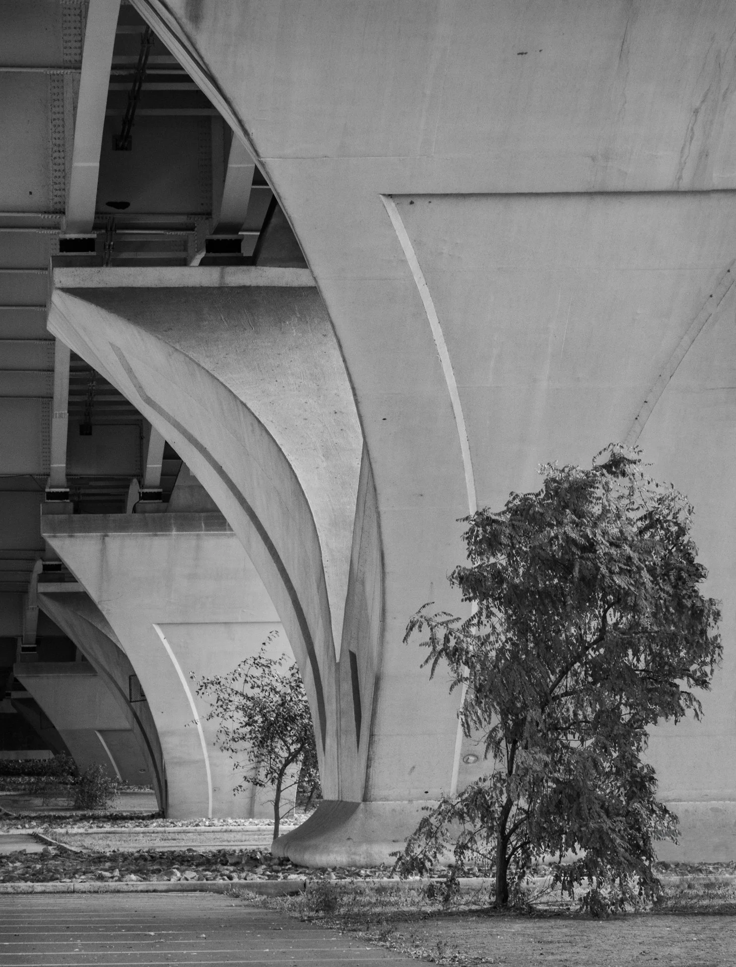 Sarah Hood Salomon, Under the Overpass, 1/20, 2025, Archival digital photographic print, 17 x 22 inches, $350