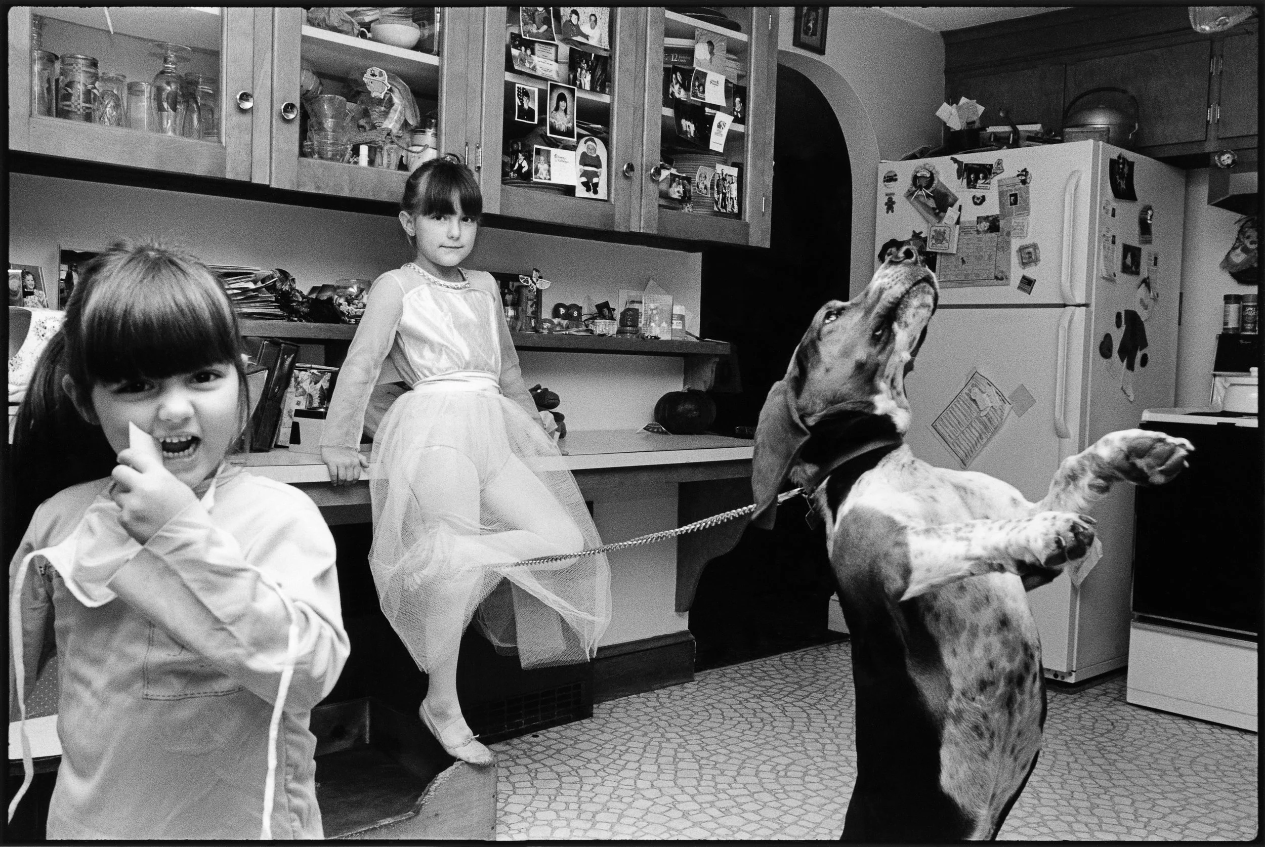 Melonie Bennett, Bridget. Brittany, and Waldo, Halloween, 1/10, 2000, Inkjet Print, 24 x 33 inches, $1,750