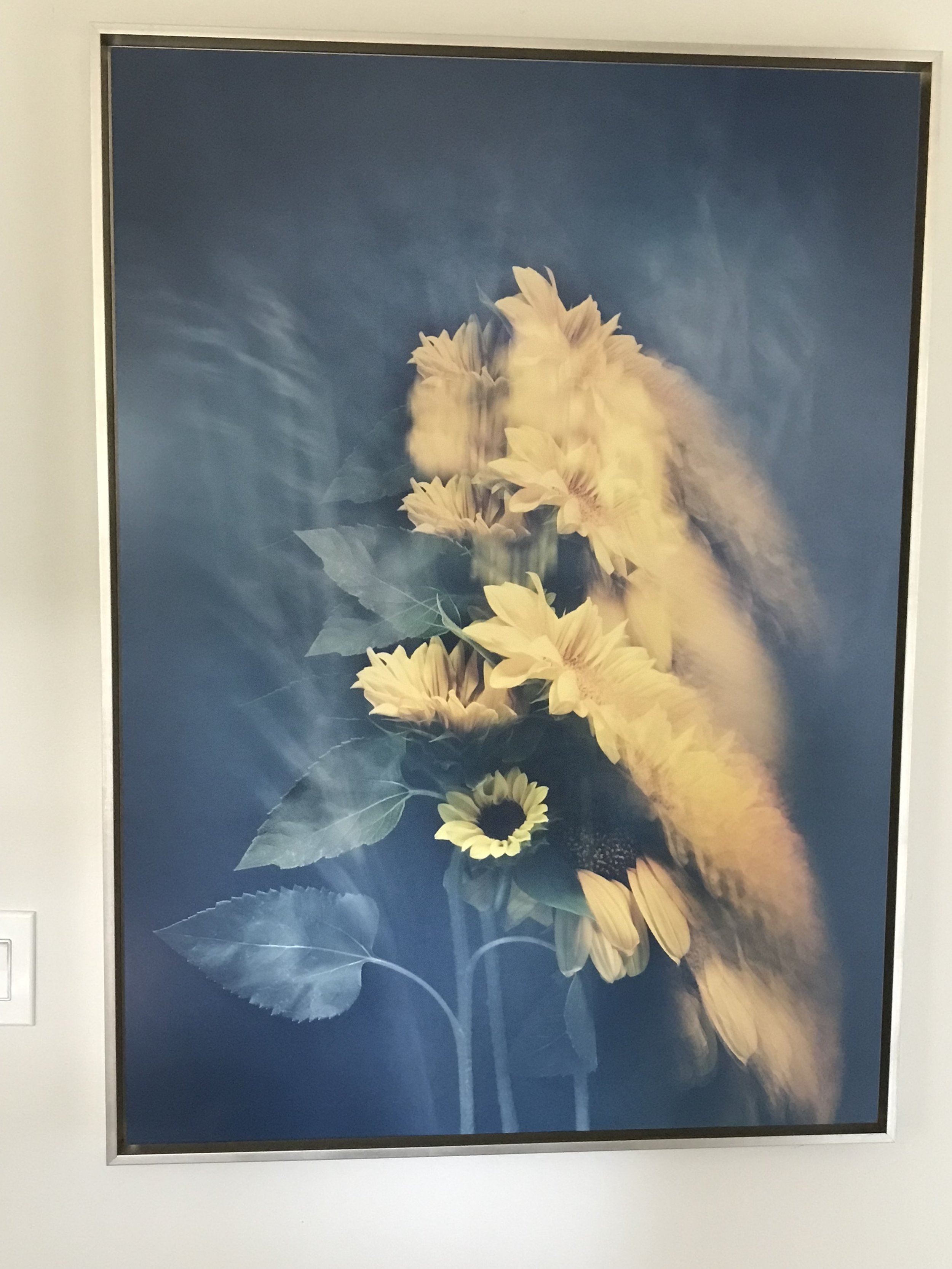 Sunflowers framed.jpg