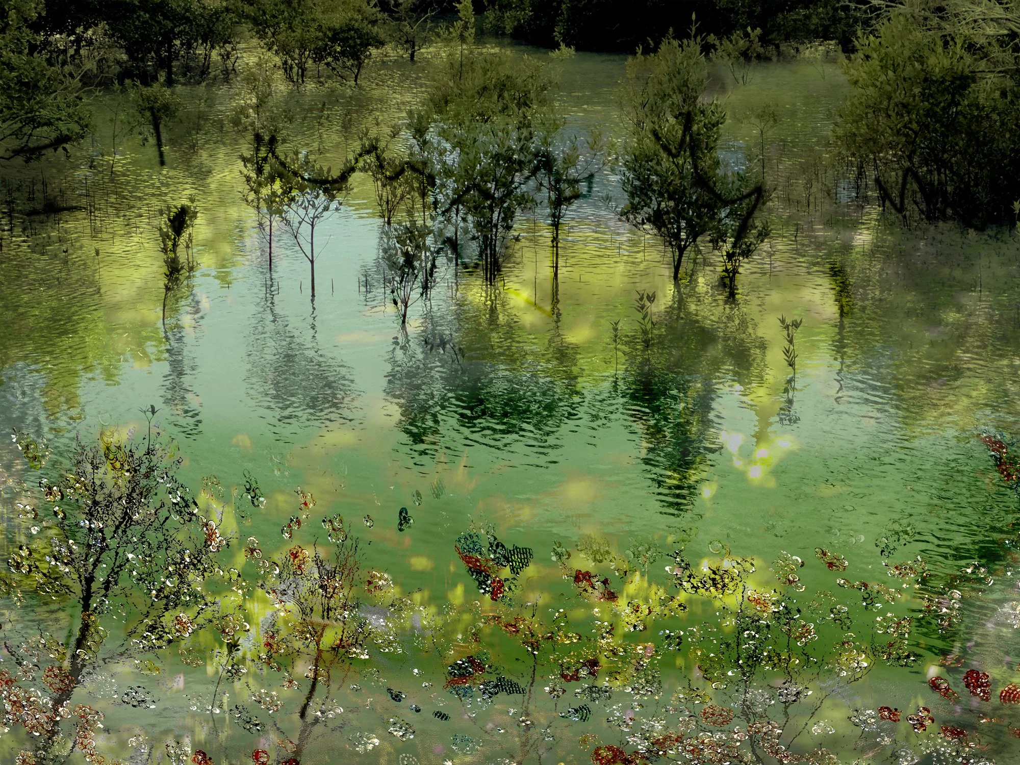 Carol Eisenberg, Mangroves 04, 1/8, 2026, Inkjet print, 28.5 × 36 inches, $2,800.