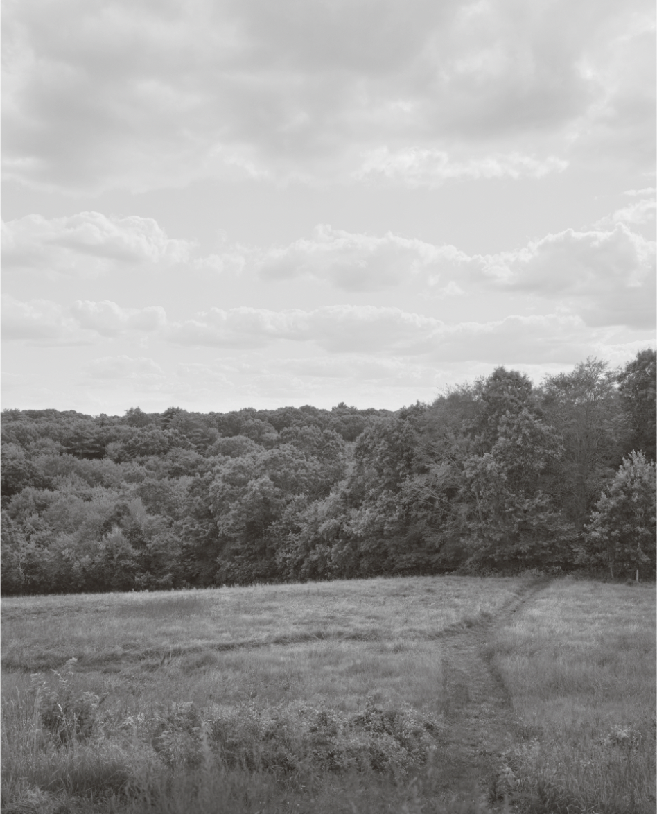 Scott Offen, Grace (Field), 1/7, 2020, Inkjet Print, 20 × 24 inches, $3,500.