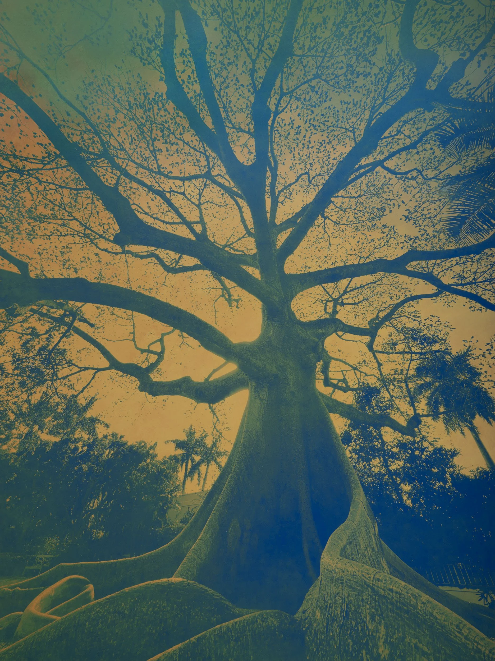 Joyce Tenneson, Sacre Bleu Series, Untitled (Tropical tree), Circa 2020’s, Inkjet print, 19.5 × 13 inches, $1,900.