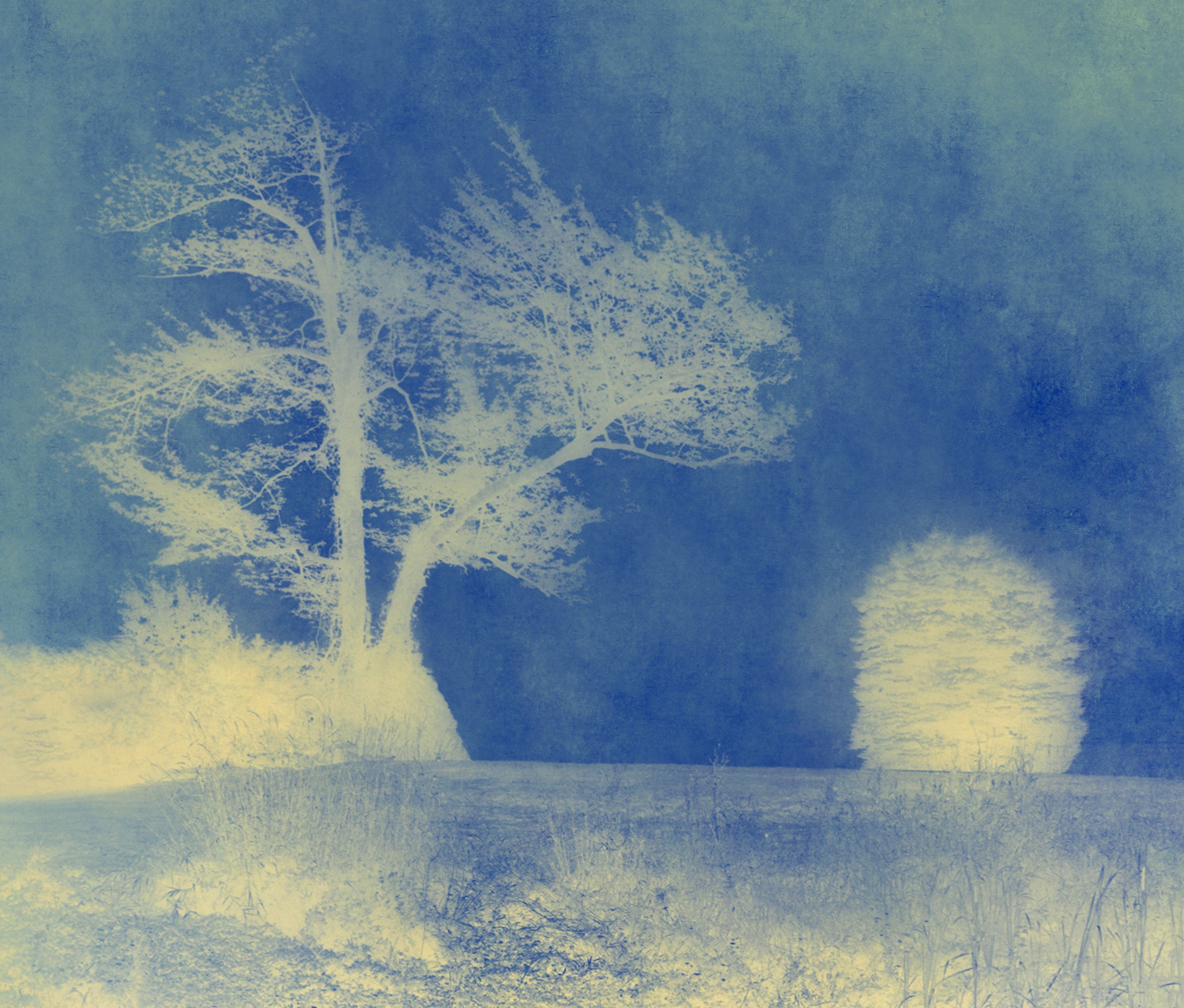 Joyce Tenneson, Sacre Bleu Series, Midnight Glow, Circa 2020’s Inkjet print, 19.5 × 13 inches, $1,900.