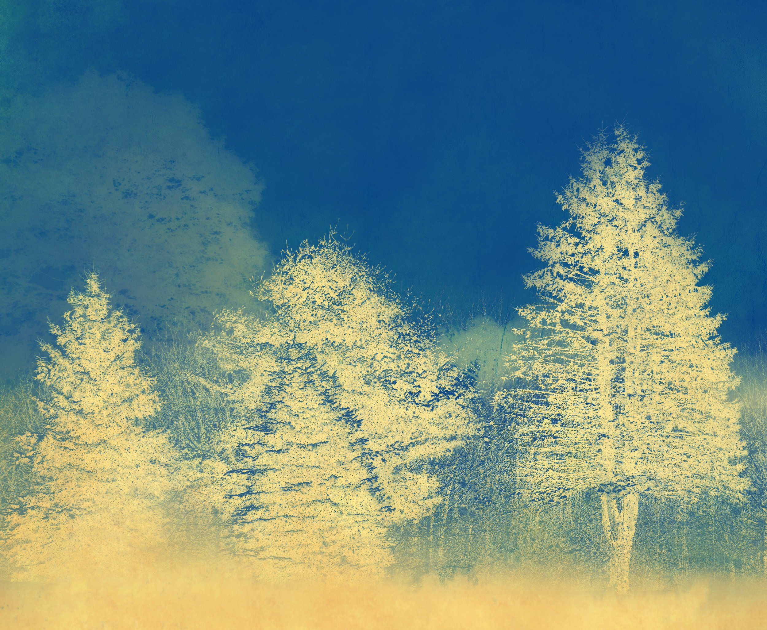 Joyce Tenneson, Sacre Bleu Series, Radiant Trees, AP, 2024, Inkjet print, 19.5 × 13 inches, $1,900.