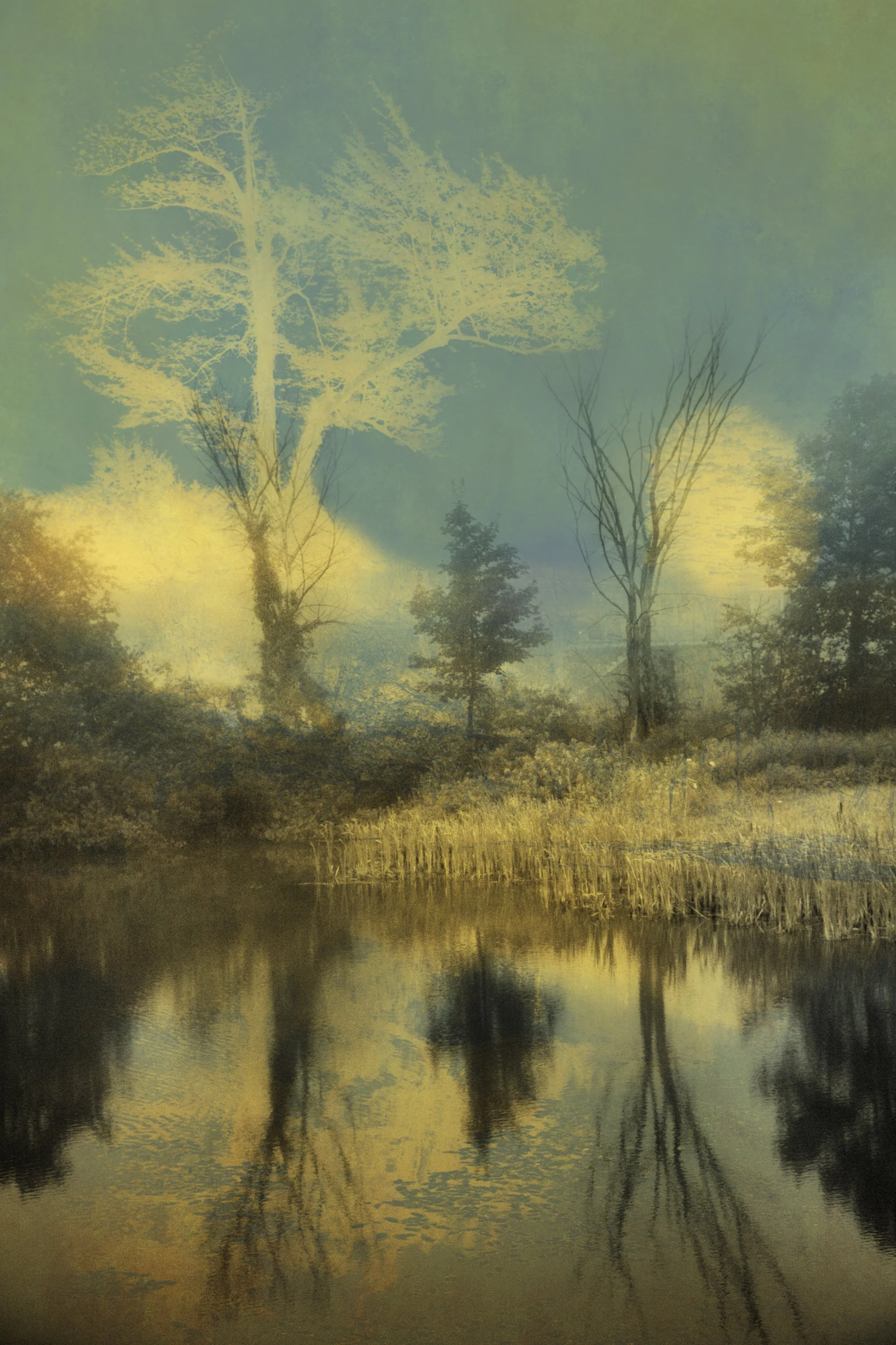 Joyce Tenneson, Sacre Bleu Series, Day to Night, AP, 2024, Inkjet Print, 19.5 × 13 inches, $1,900. 