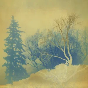 Joyce Tenneson, Sacre Bleu Series, Secret Trees, AP, 2024, Inkjet Print, 19.5 × 13 inches, $1,900. 