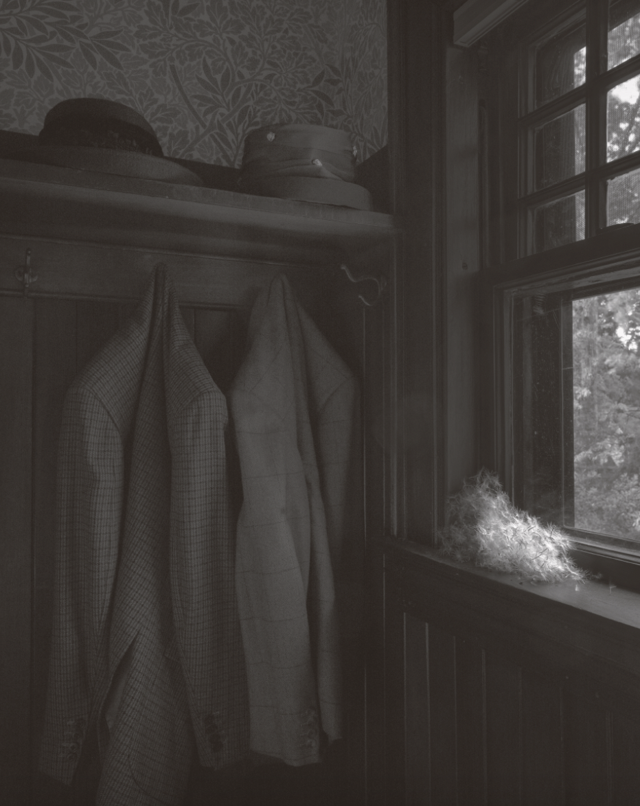 Scott Offen, Dandelions