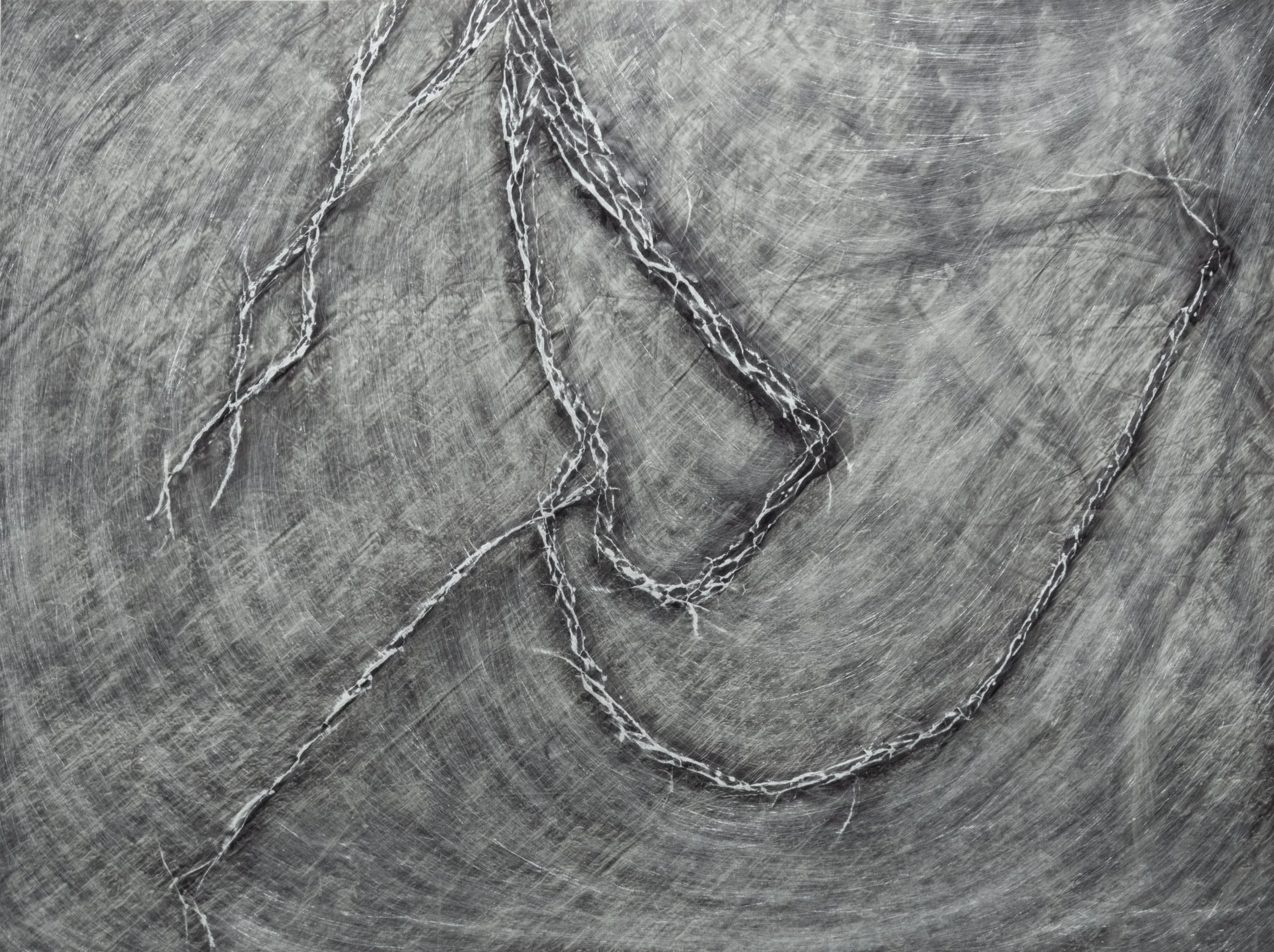 Sarah Hood Salomon, Cracked Vines