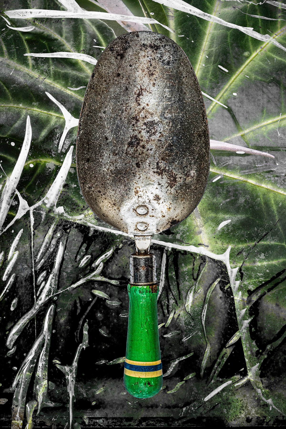 Sugar Scoop, Bernard C Meyers