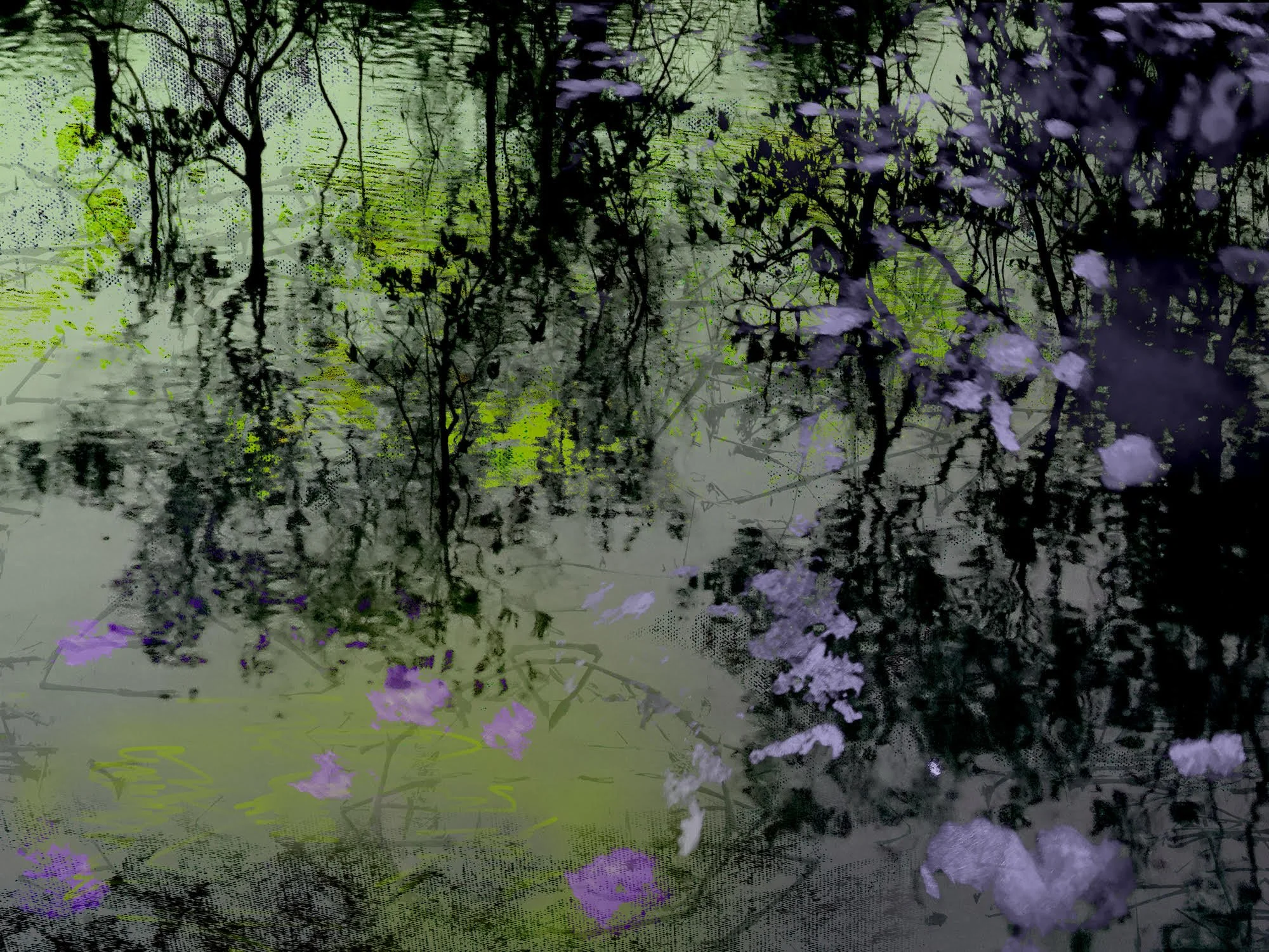 Carol Eisenberg, Mangroves 15