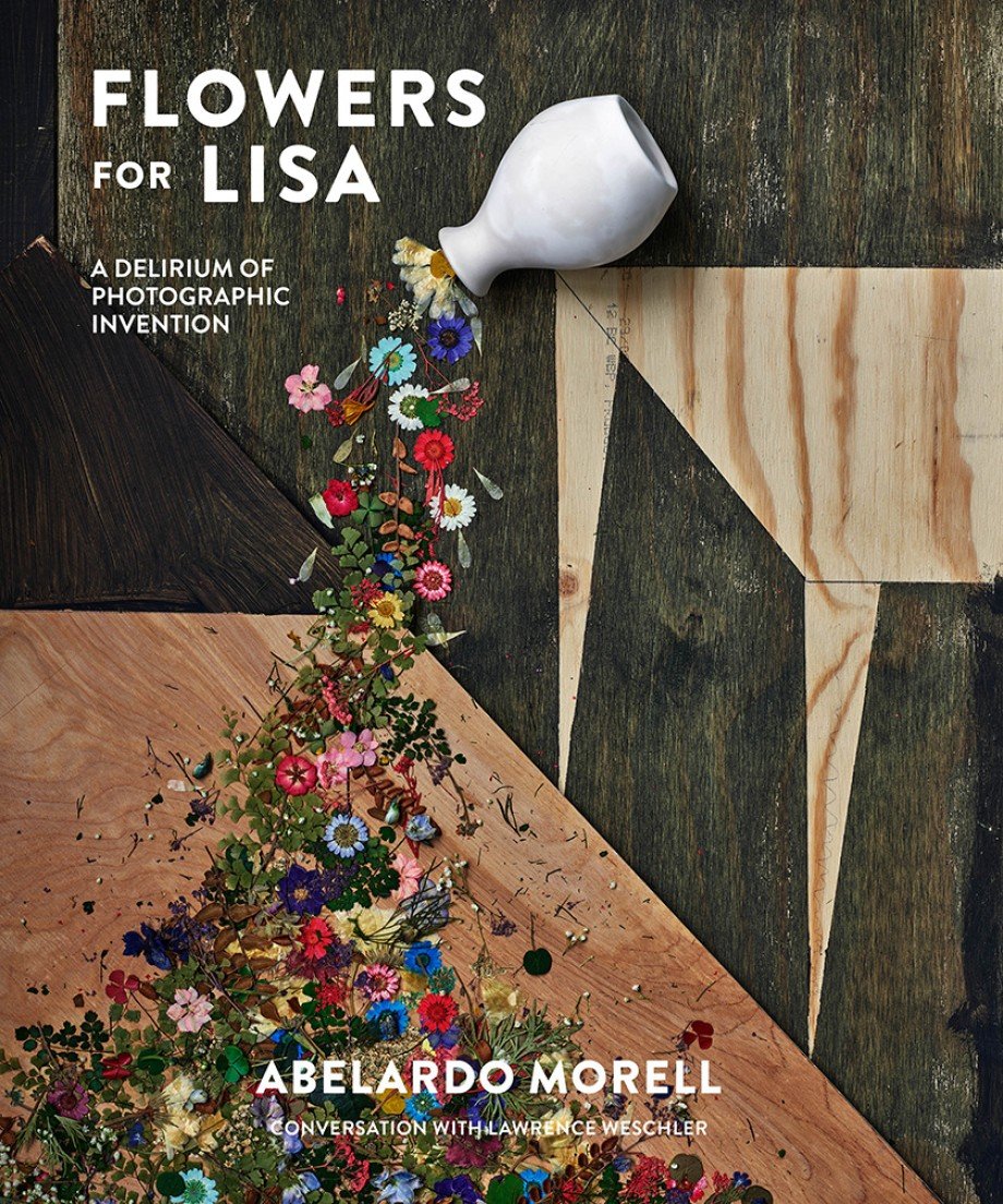 Abelardo Morrell, Flower for Lisa