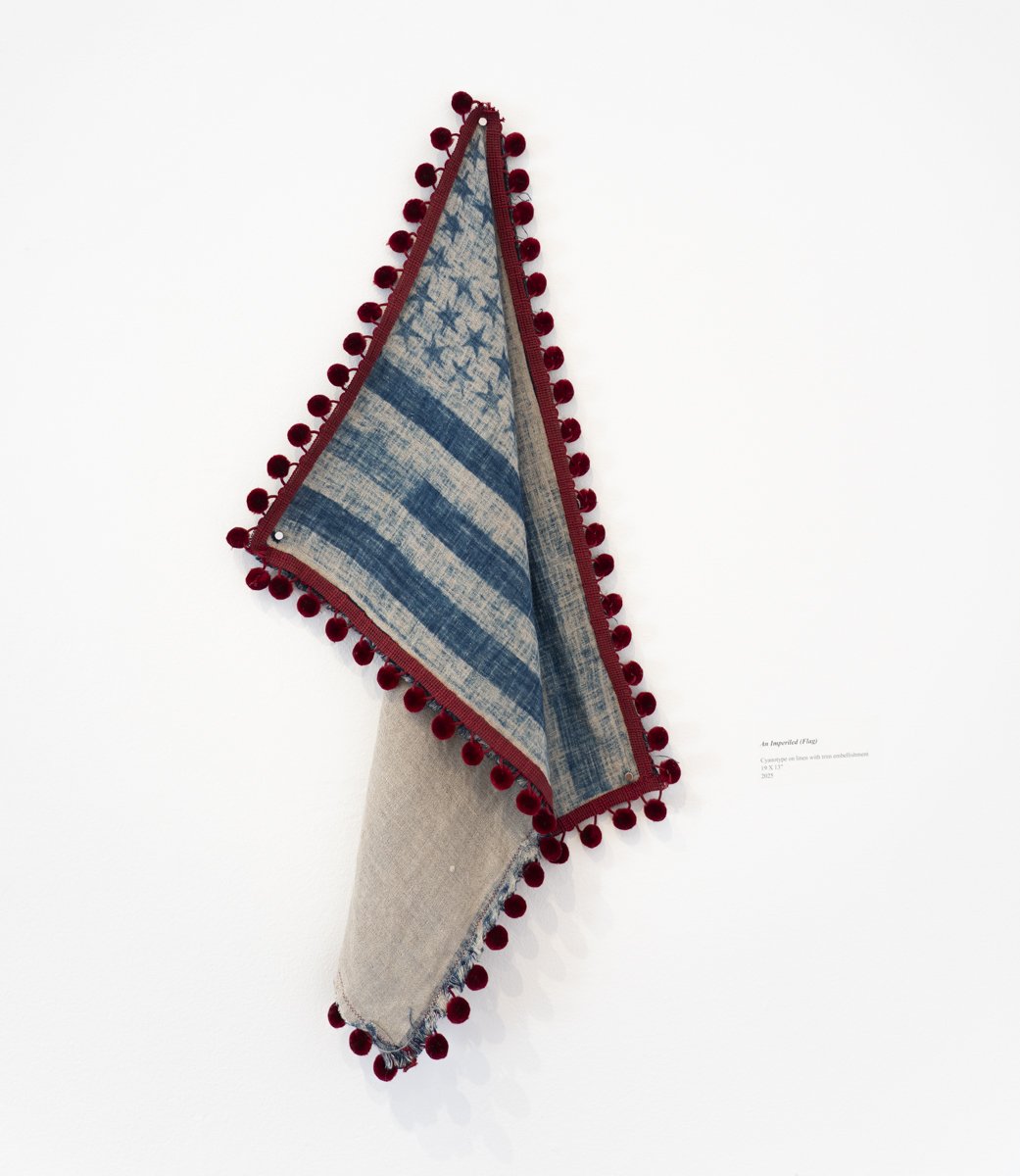 Brenton Hamilton, Imperiled Flag