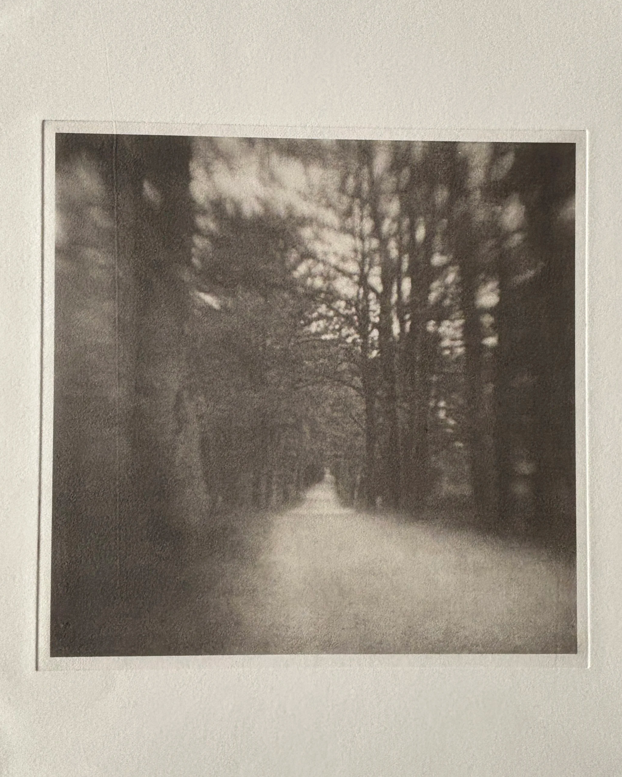 Jack Montgomery, Dusk Farm