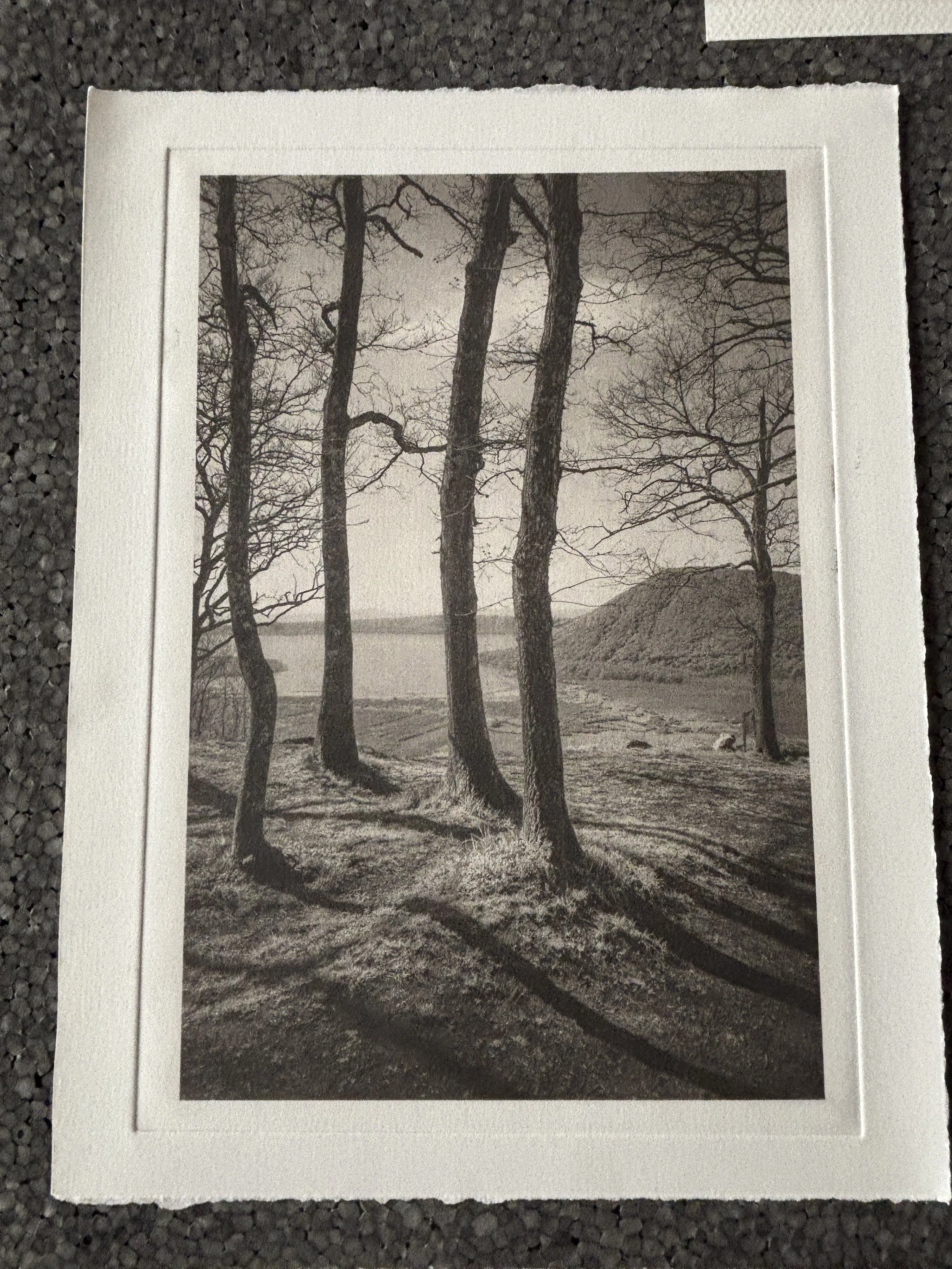 Jack Montgomery, Views Over Lake Bolseme
