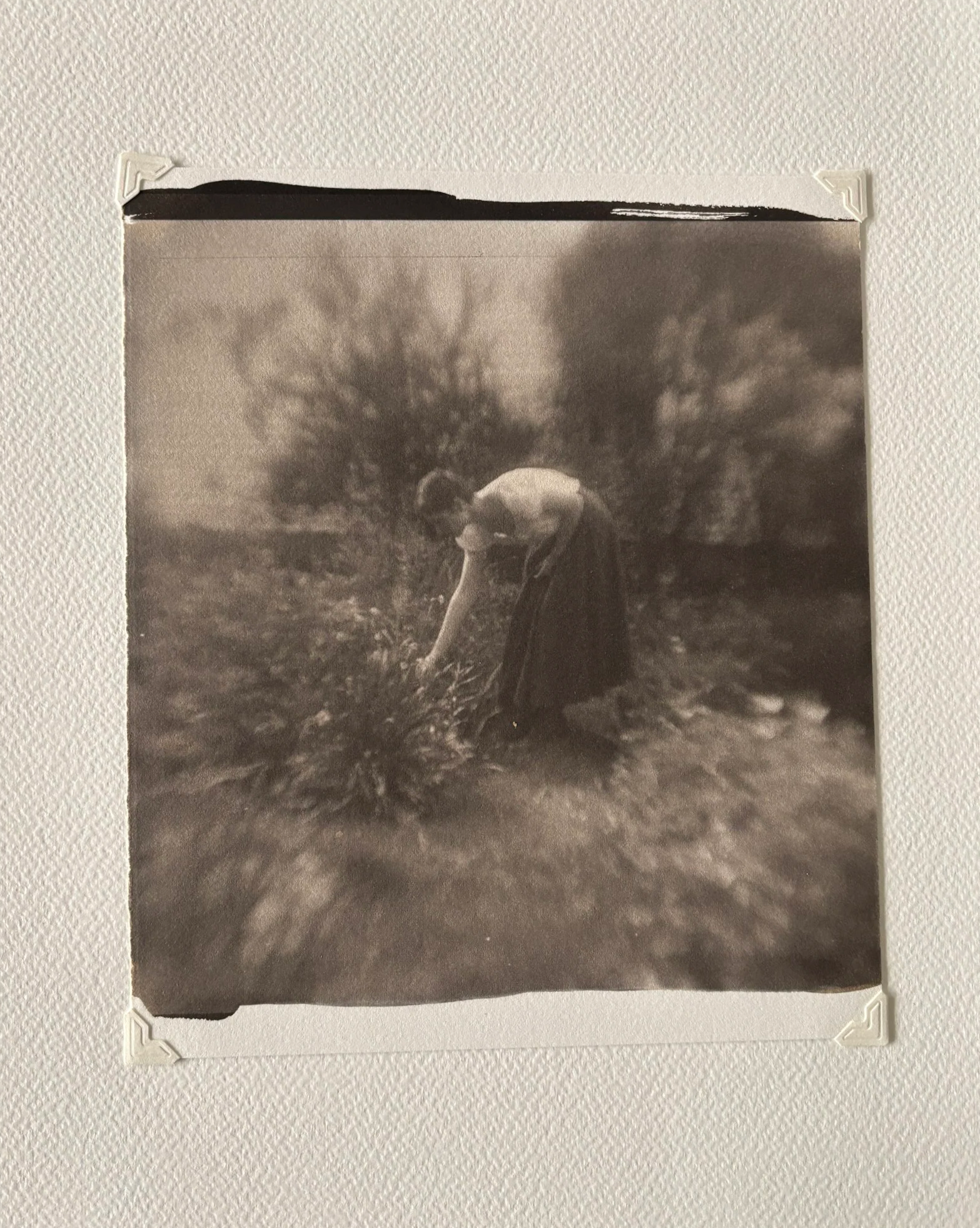 Jack Montgomery, Aubrey Picking Flowers