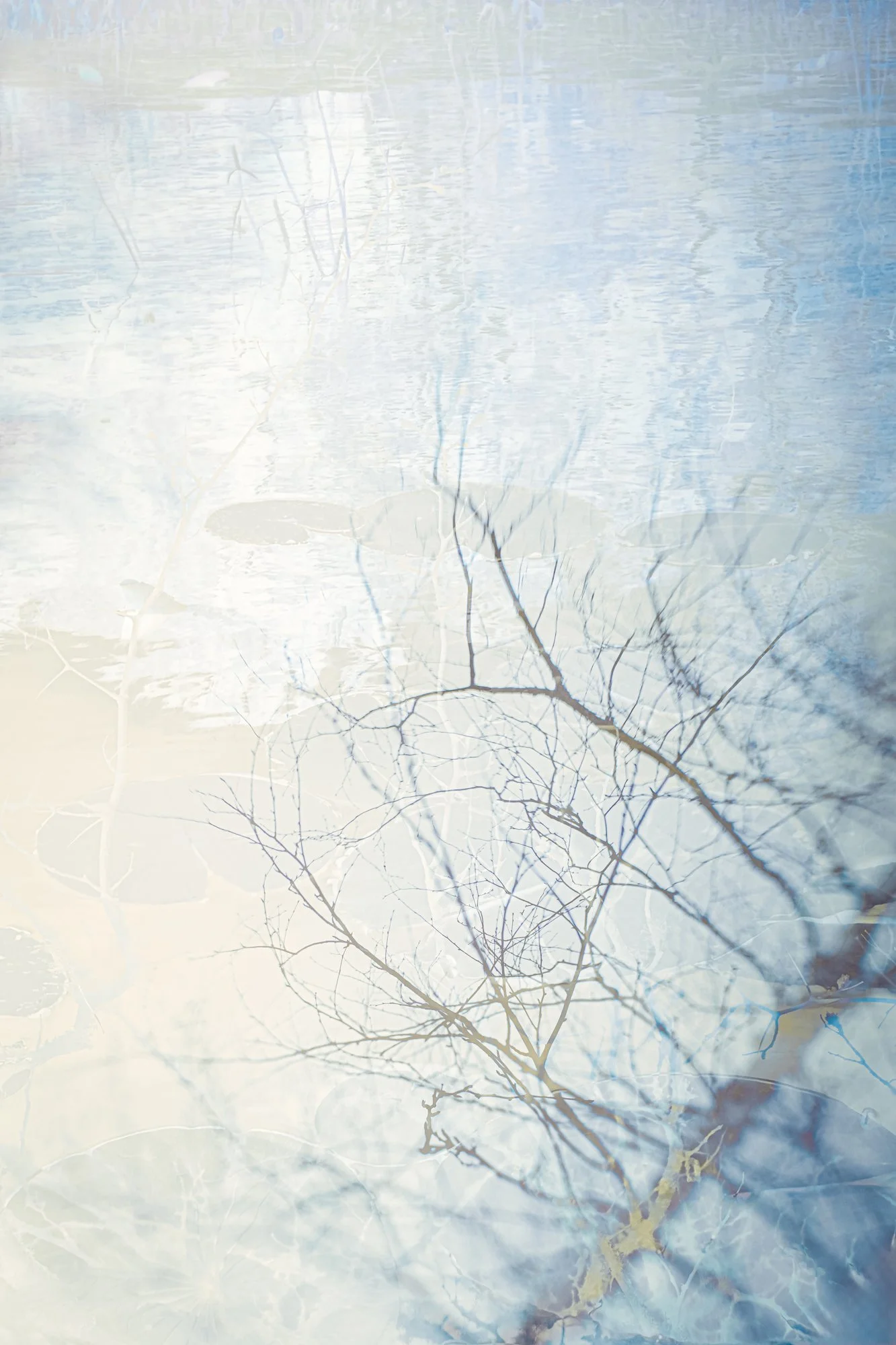 Karen Olson, Fluidity