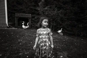 Barbara Peacock, Cora and the Geese