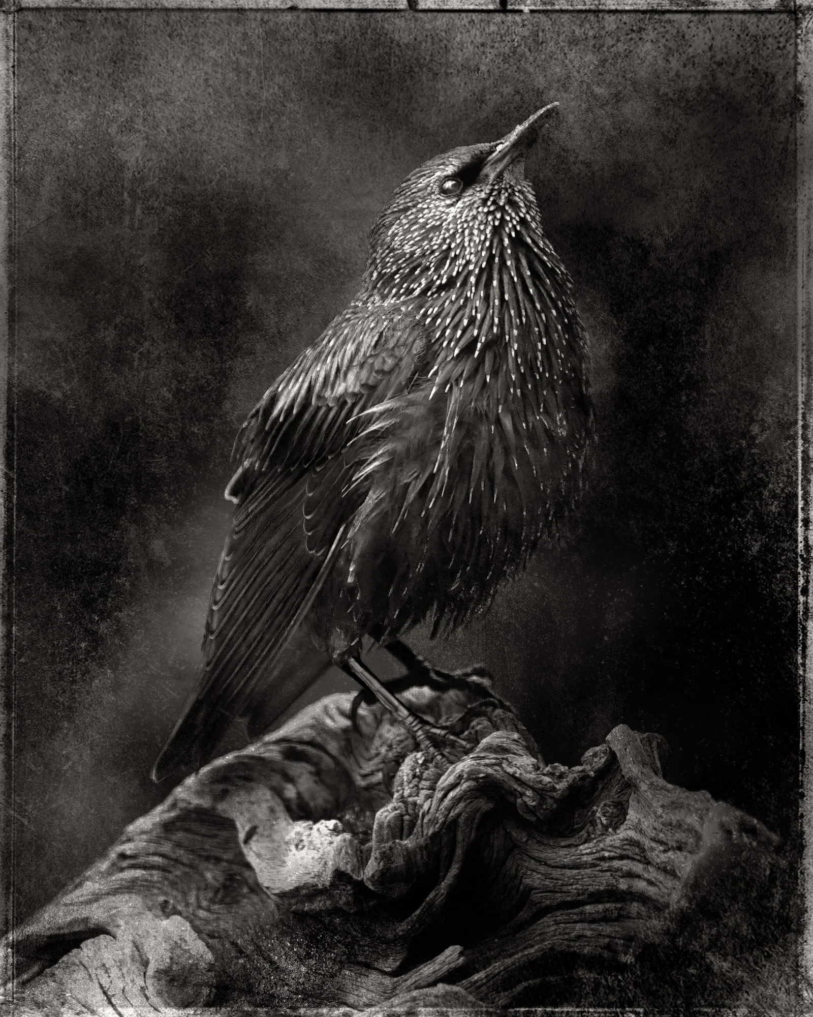 Robert David Atkinson, The Burden of Knowledge