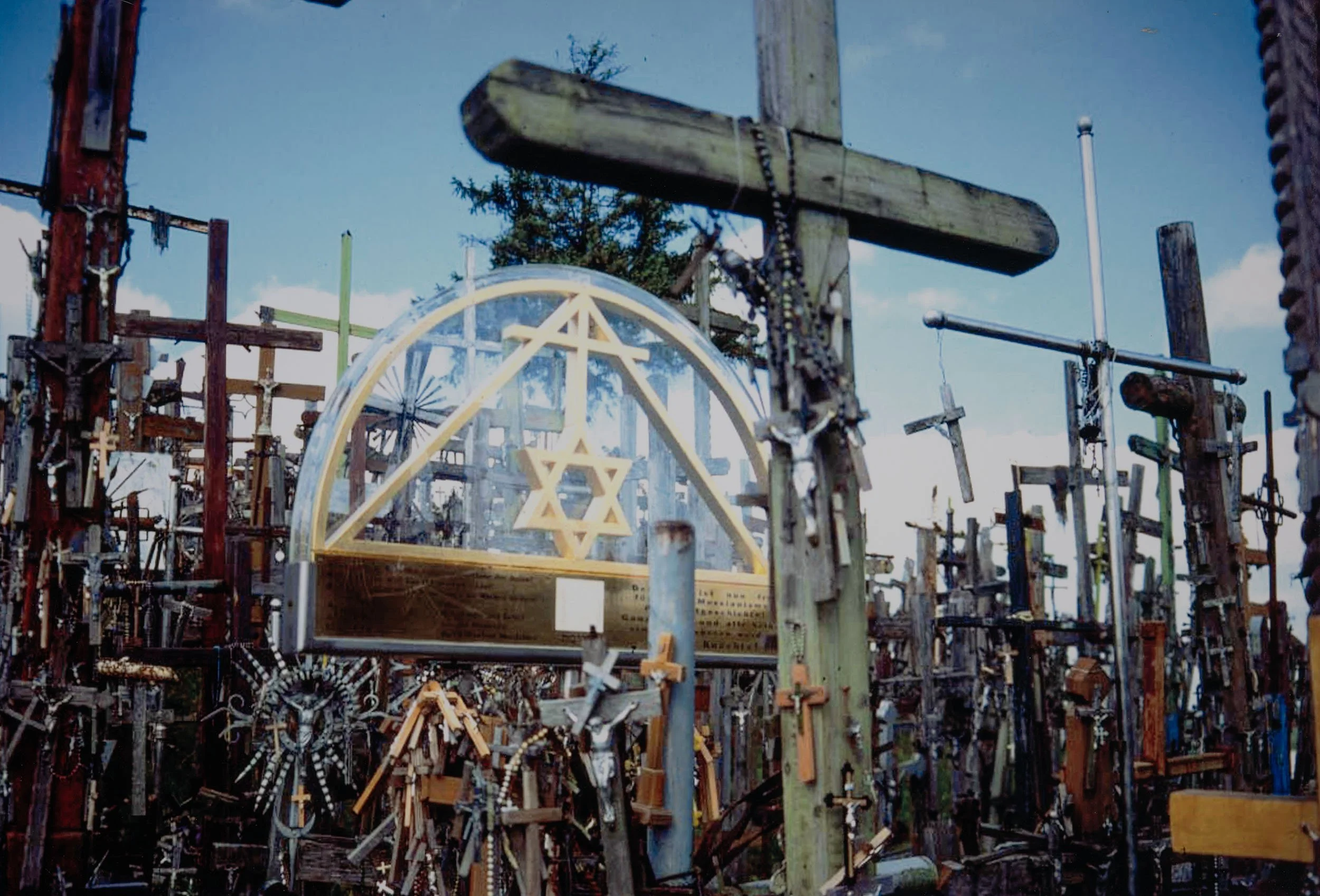 Wienstien Crosses front copy.jpg