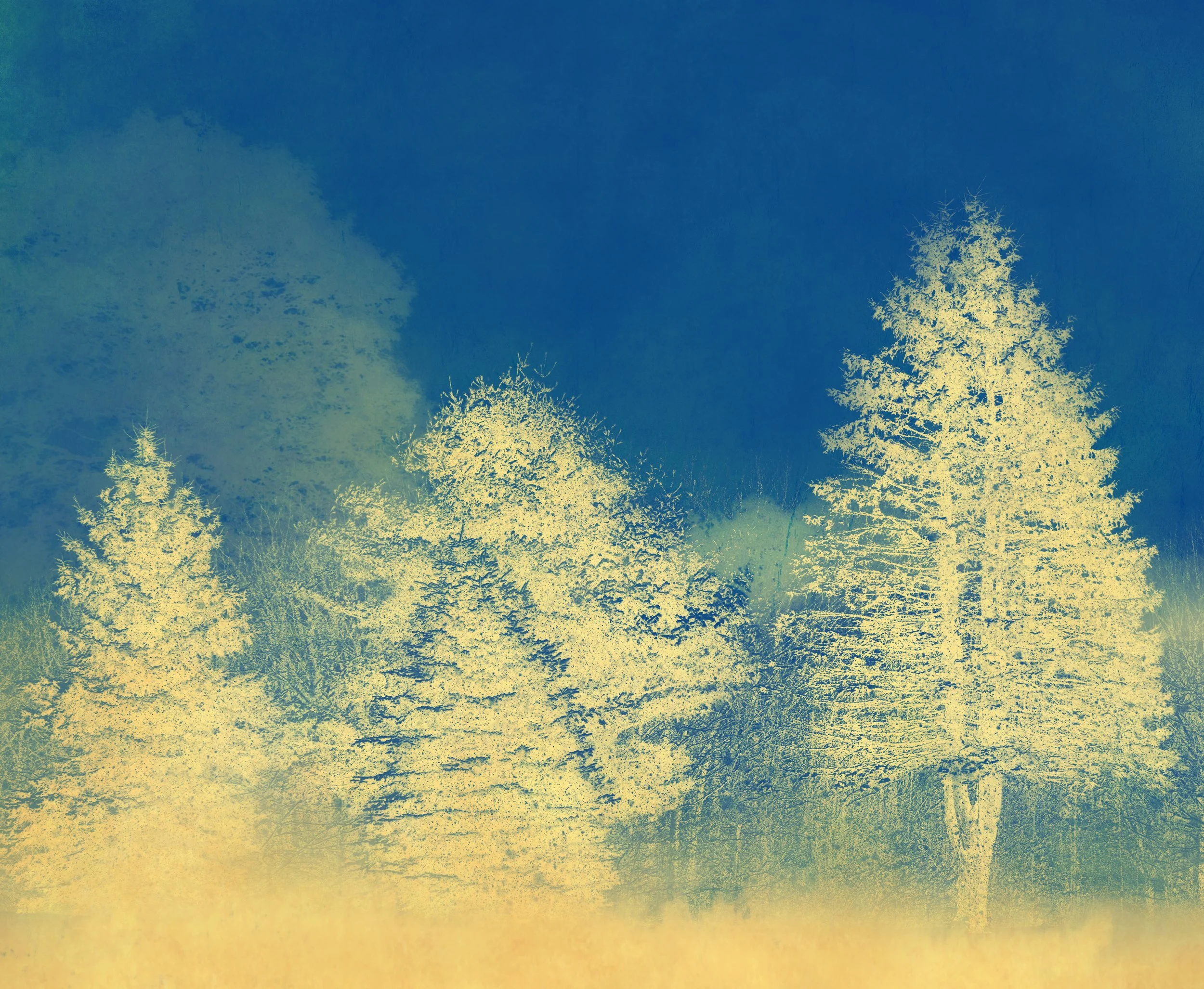 Joyce Tenneson, Sacre Bleu Series, Radiant Trees