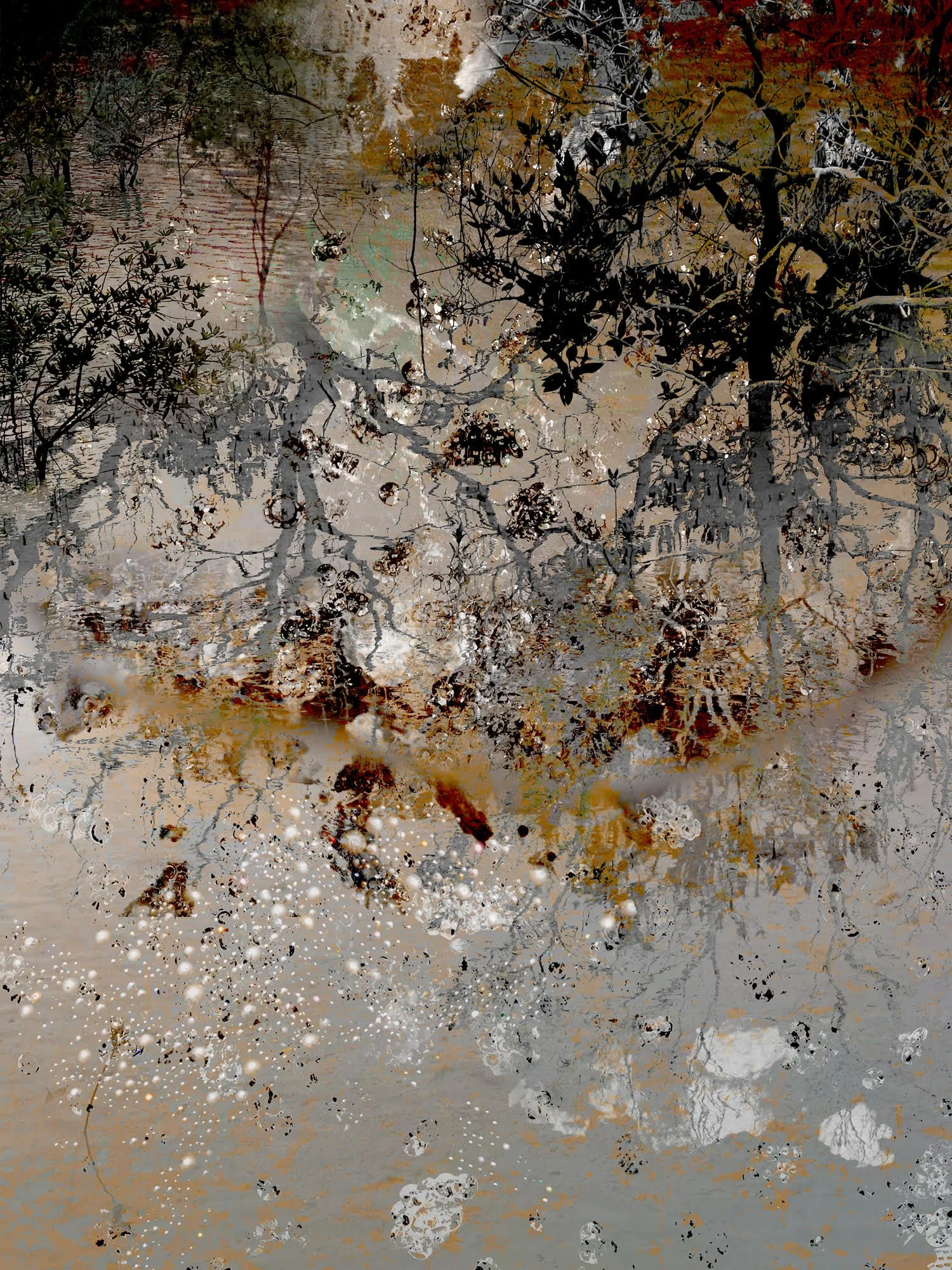Carol Eisenberg, Mangroves 25