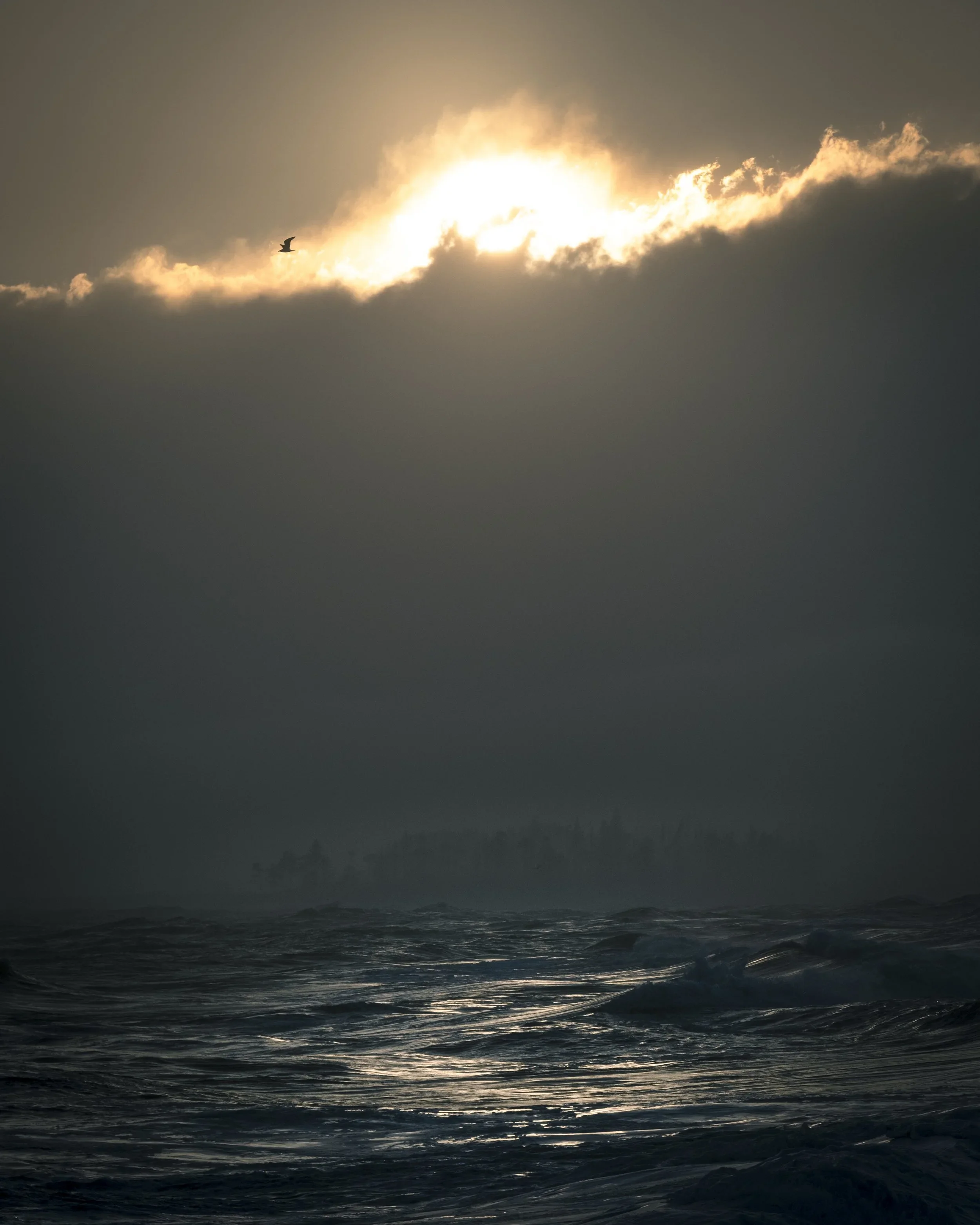 Deb Dawson, Clearing Storm