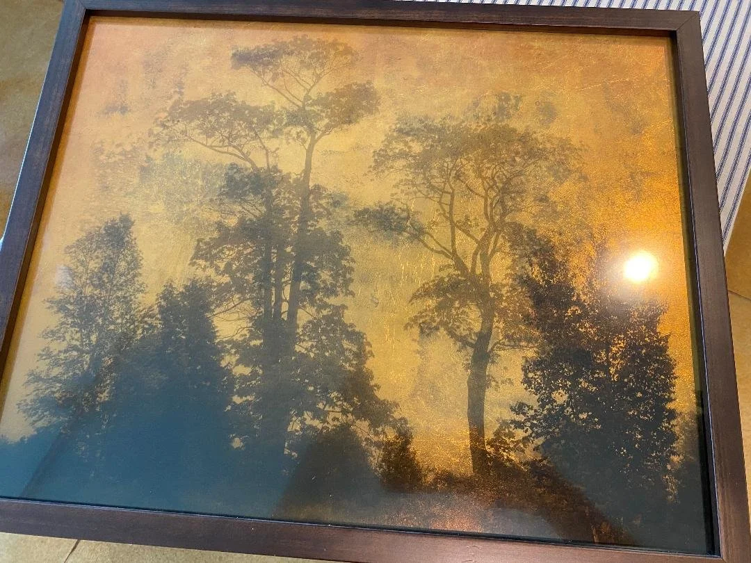 Joyce Tenneson - Dawn, Six Trees