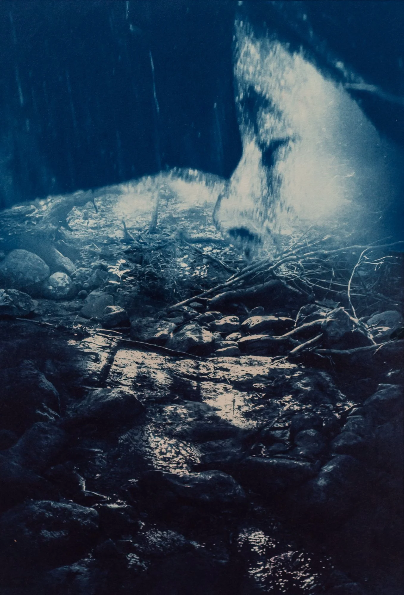 Jeannie Hutchins, Unforeseen