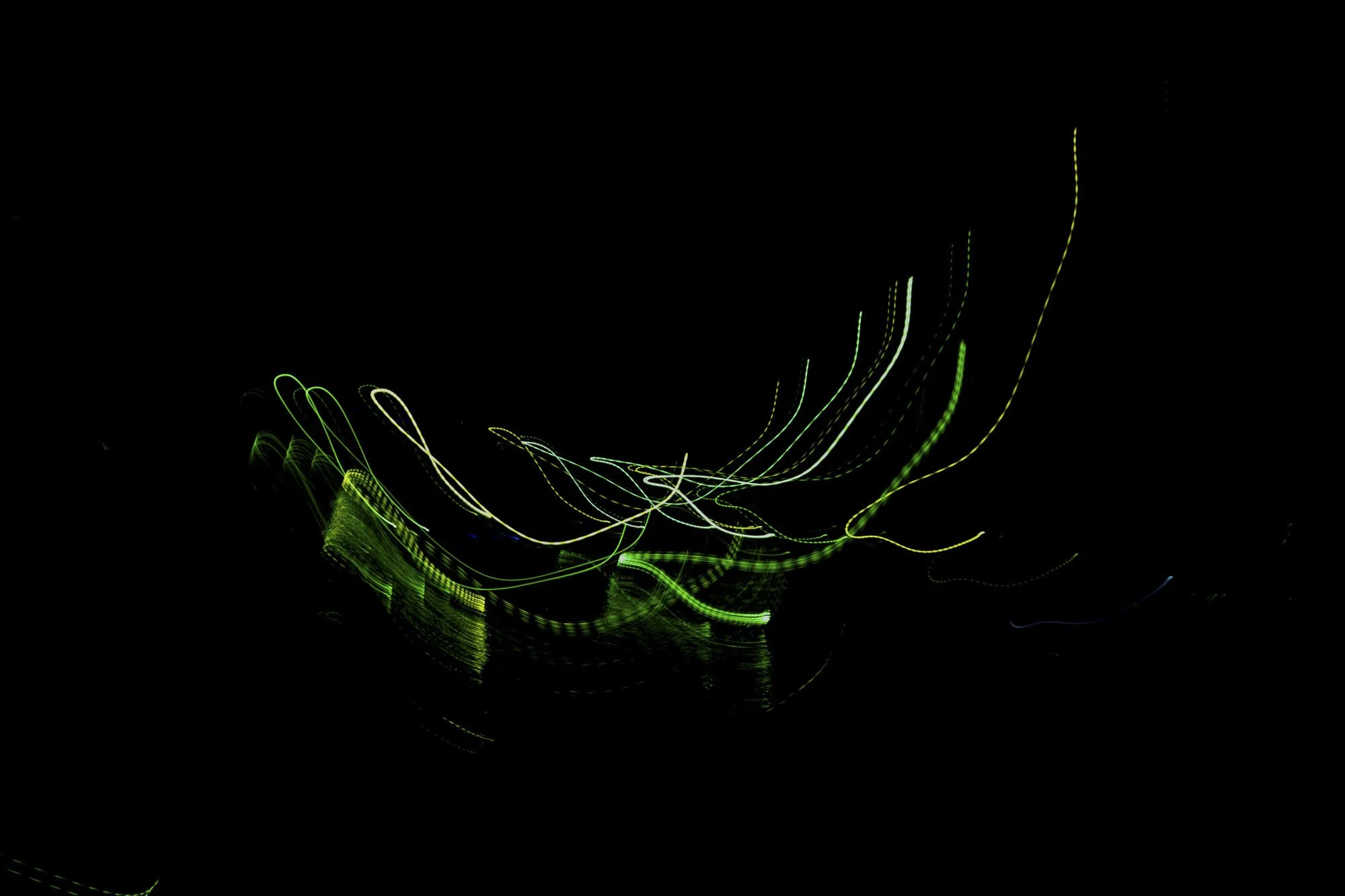Fern Nesson, Phosphorescence