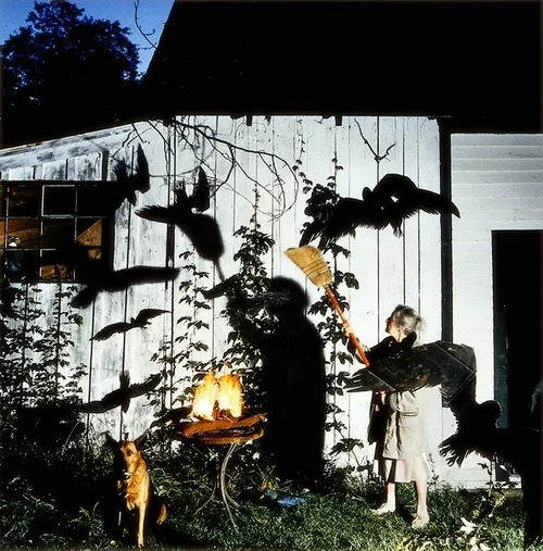 Christine Schiavo, Backyard Series, Mitzi and The Crows