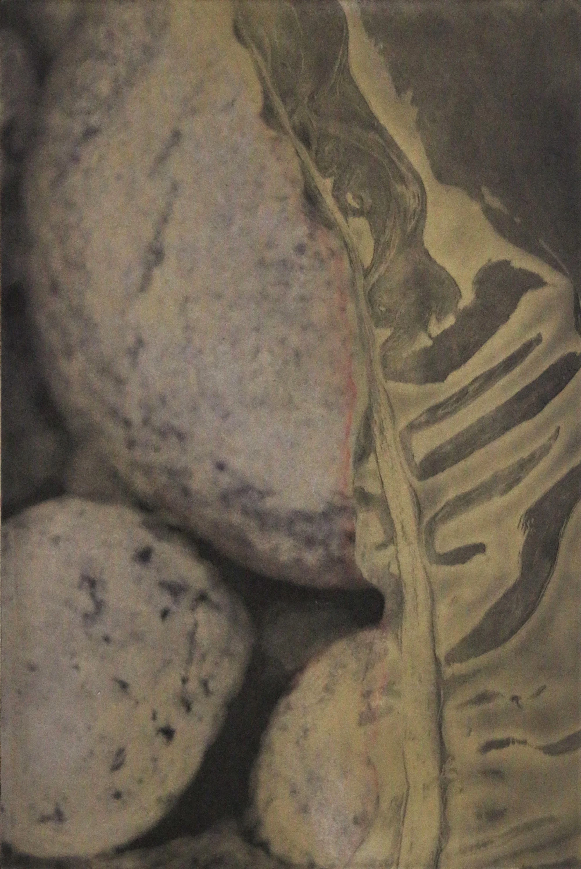 Christine Higgins, Seaweed Abstract 2