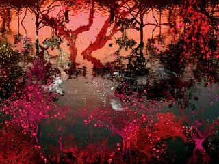 MANGROVES 01-mst.jpeg