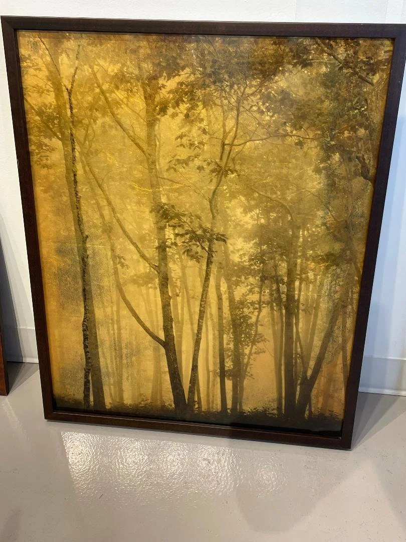 Joyce Tenneson - Golden Trees, Brewster Point