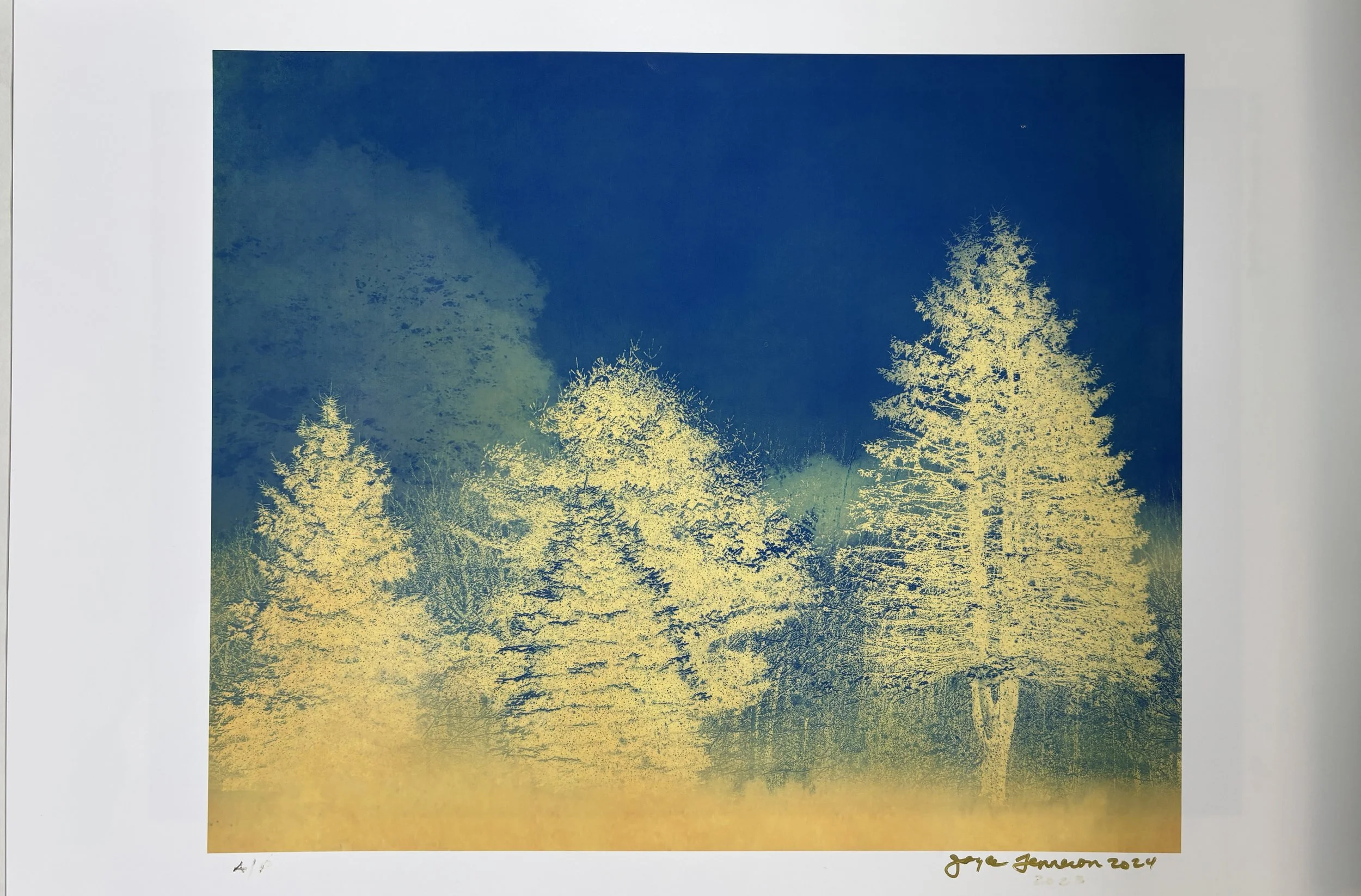 Joyce Tenneson, Sacre Bleu Series, Untitled Tree-Line