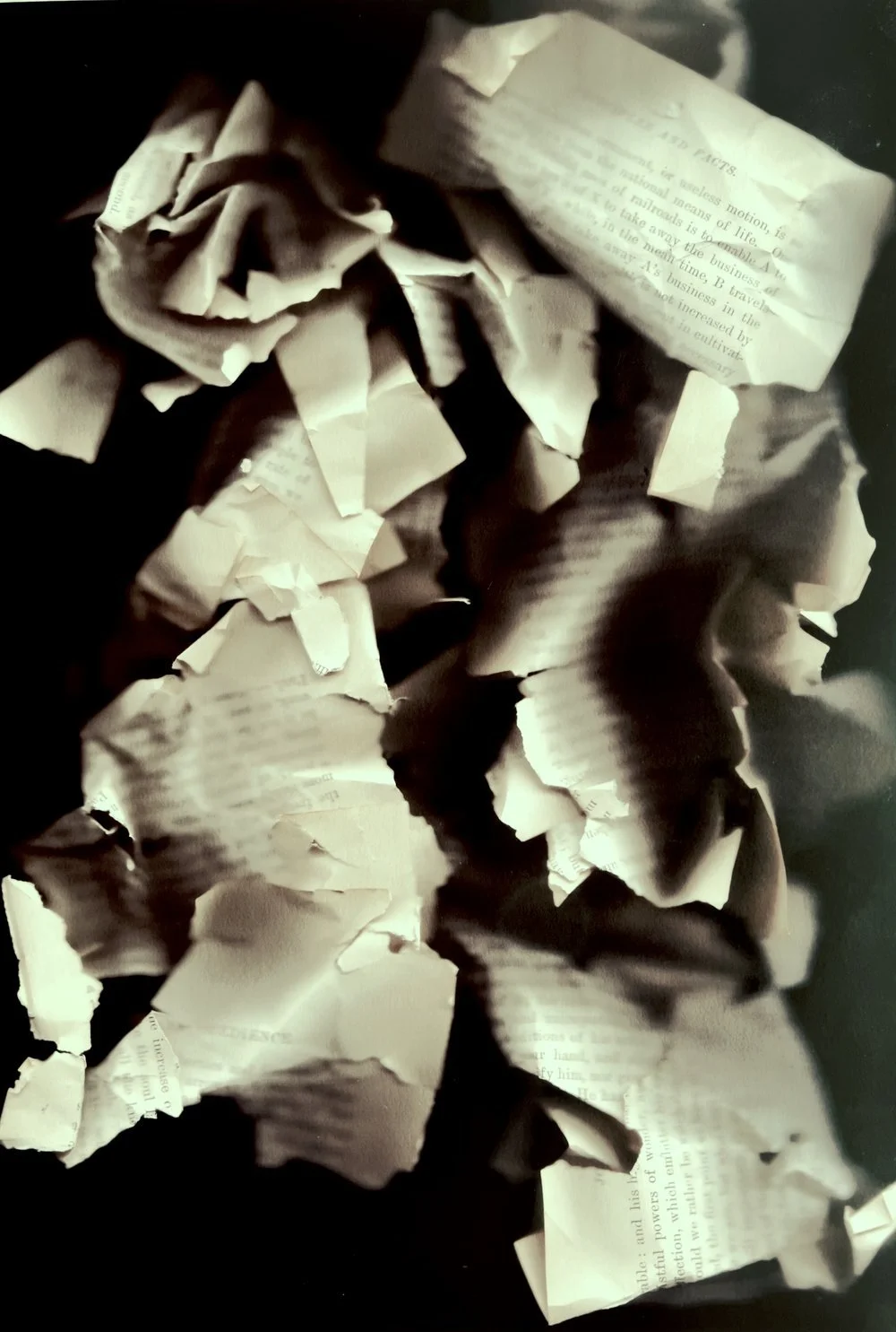 Caroline E savage, Critical Reading 1