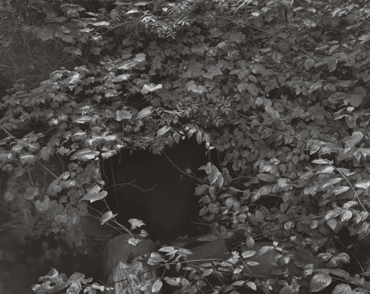 Scott Offen, Hole