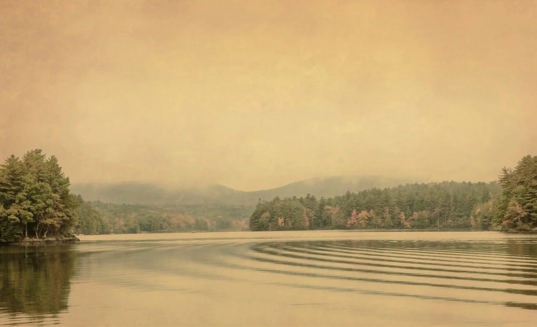 Joyce Tenneson, Megunticook in Fall