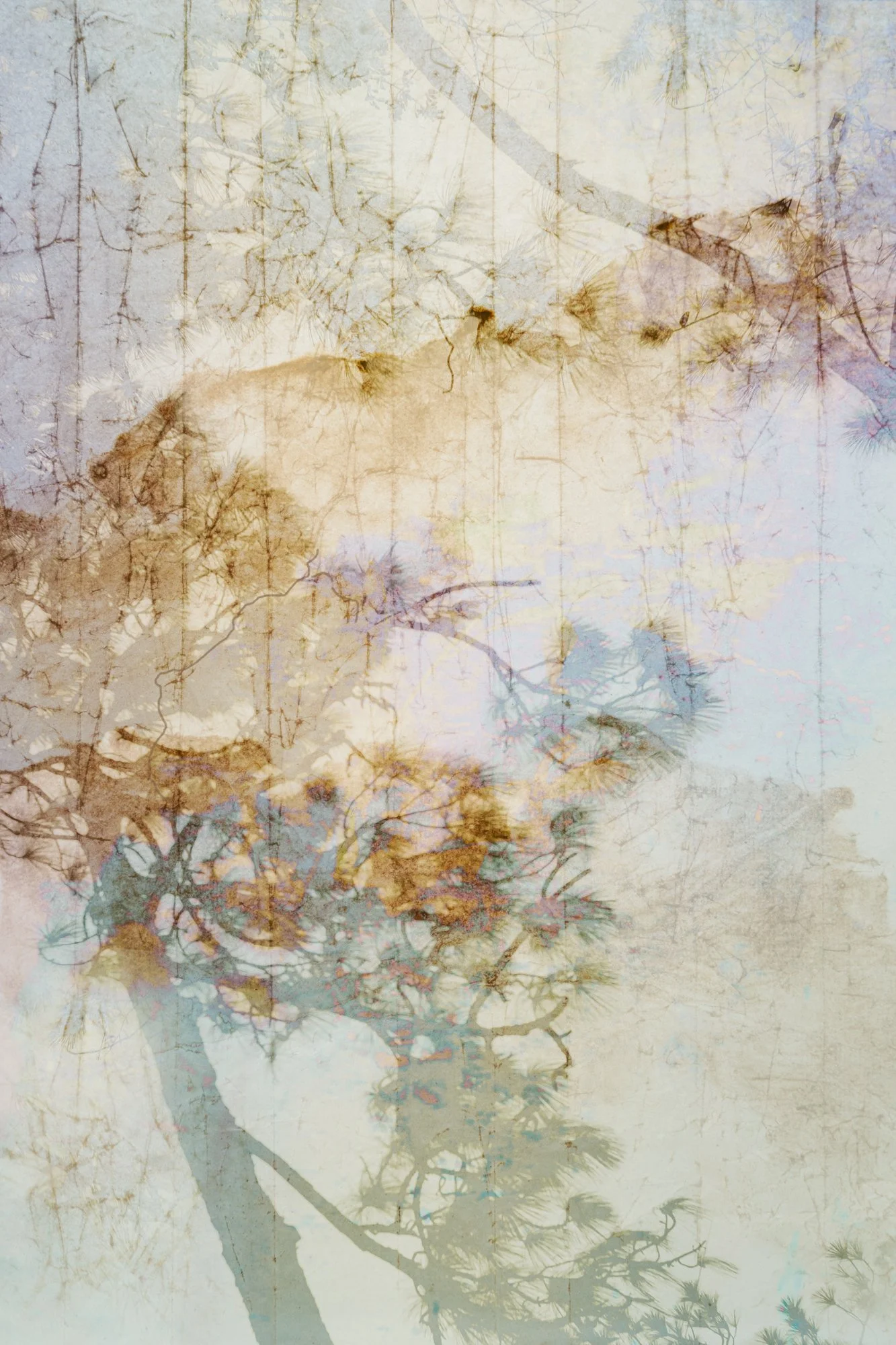 Karen Olson, Alacrity