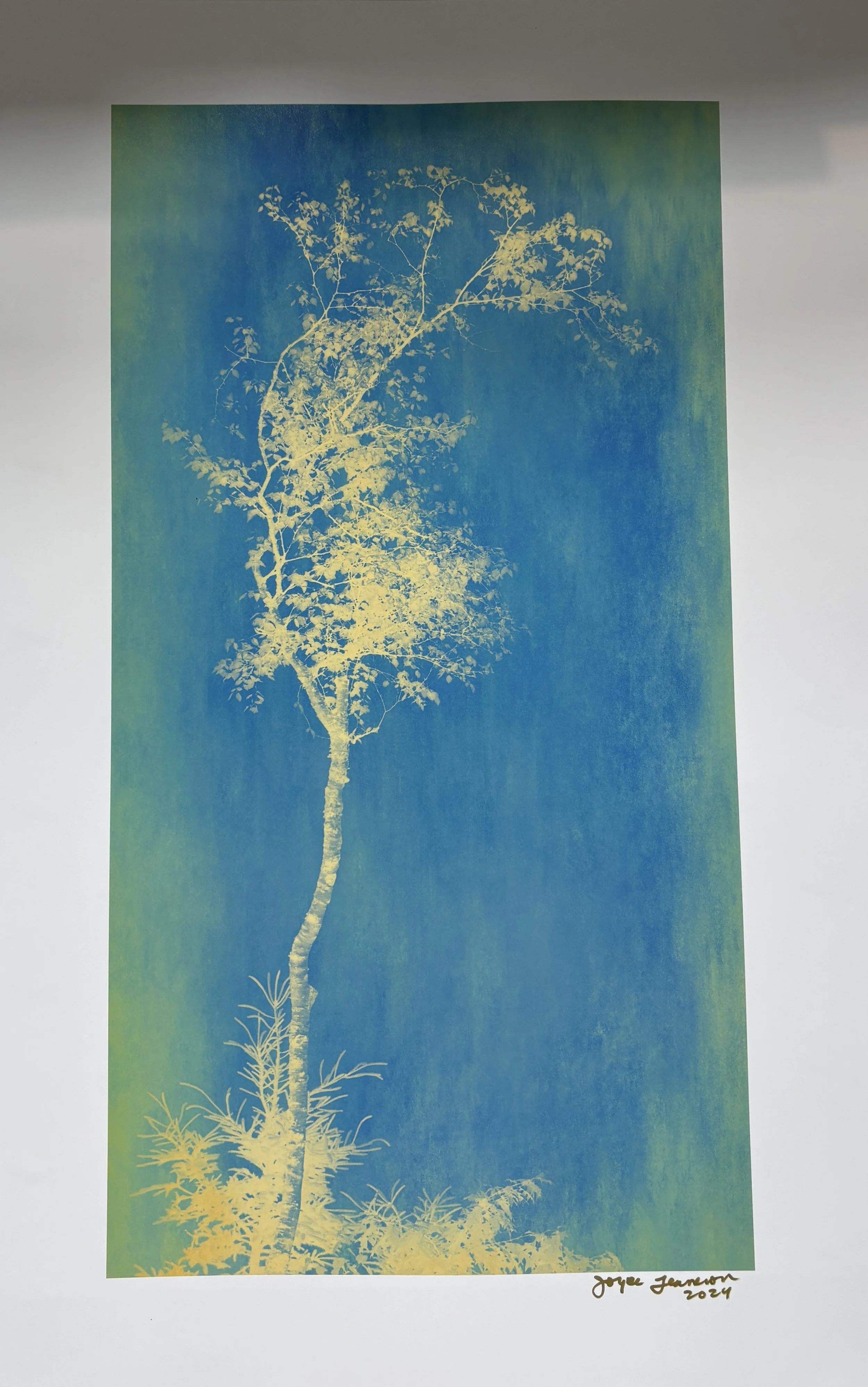 Joyce Tenneson, Sacre Bleu Series, Untitled Single Tree