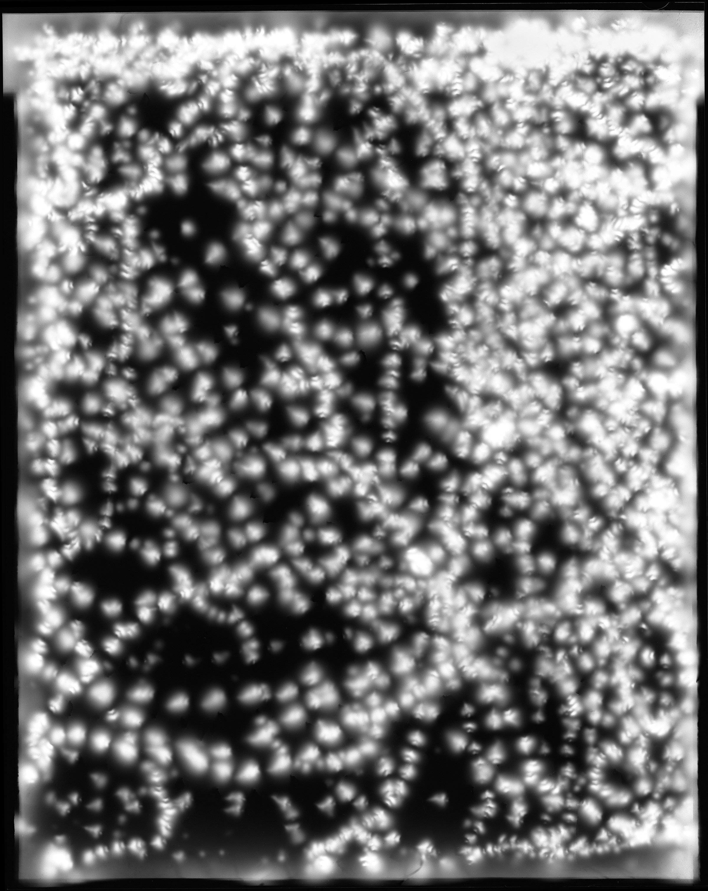 bw firefly.jpg
