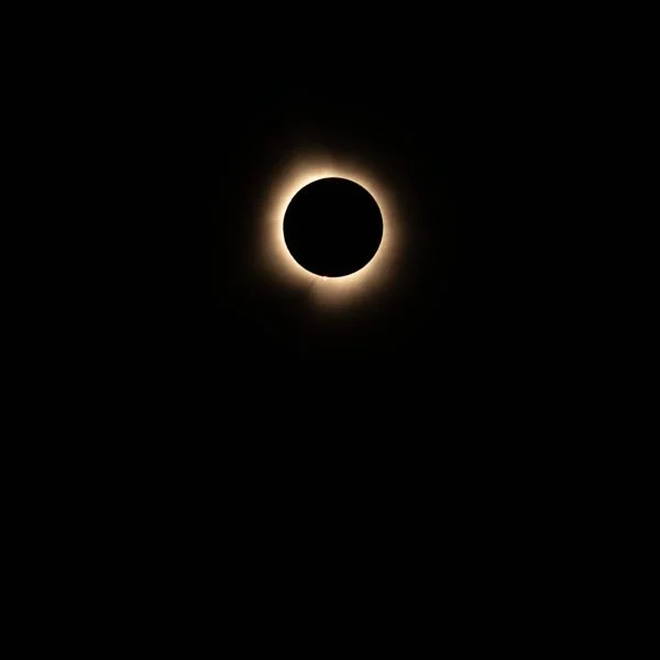 Jim Nickelson, Dark Moon II